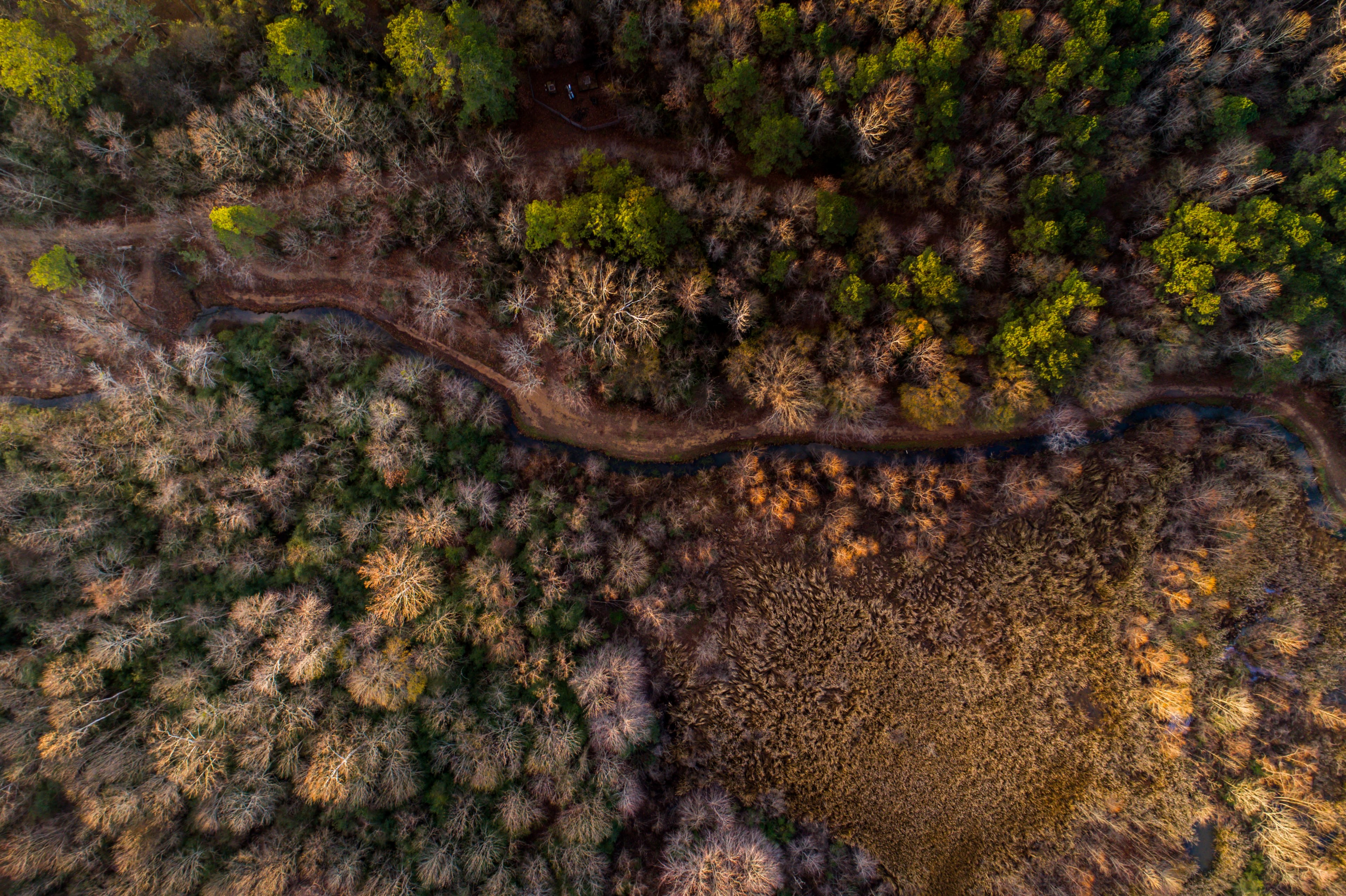 an aerial shot of a blue creek running through a diverse forest, woodland creek in drone view 4k, HD Wallpaper