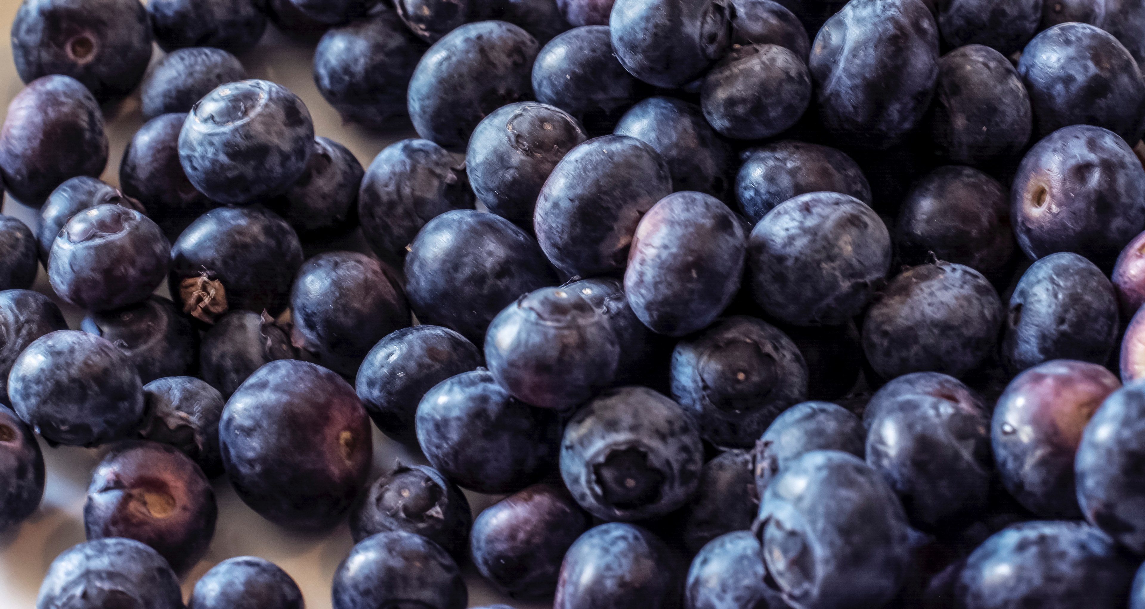 blue berry food blue and blueberry 4k, HD Wallpaper