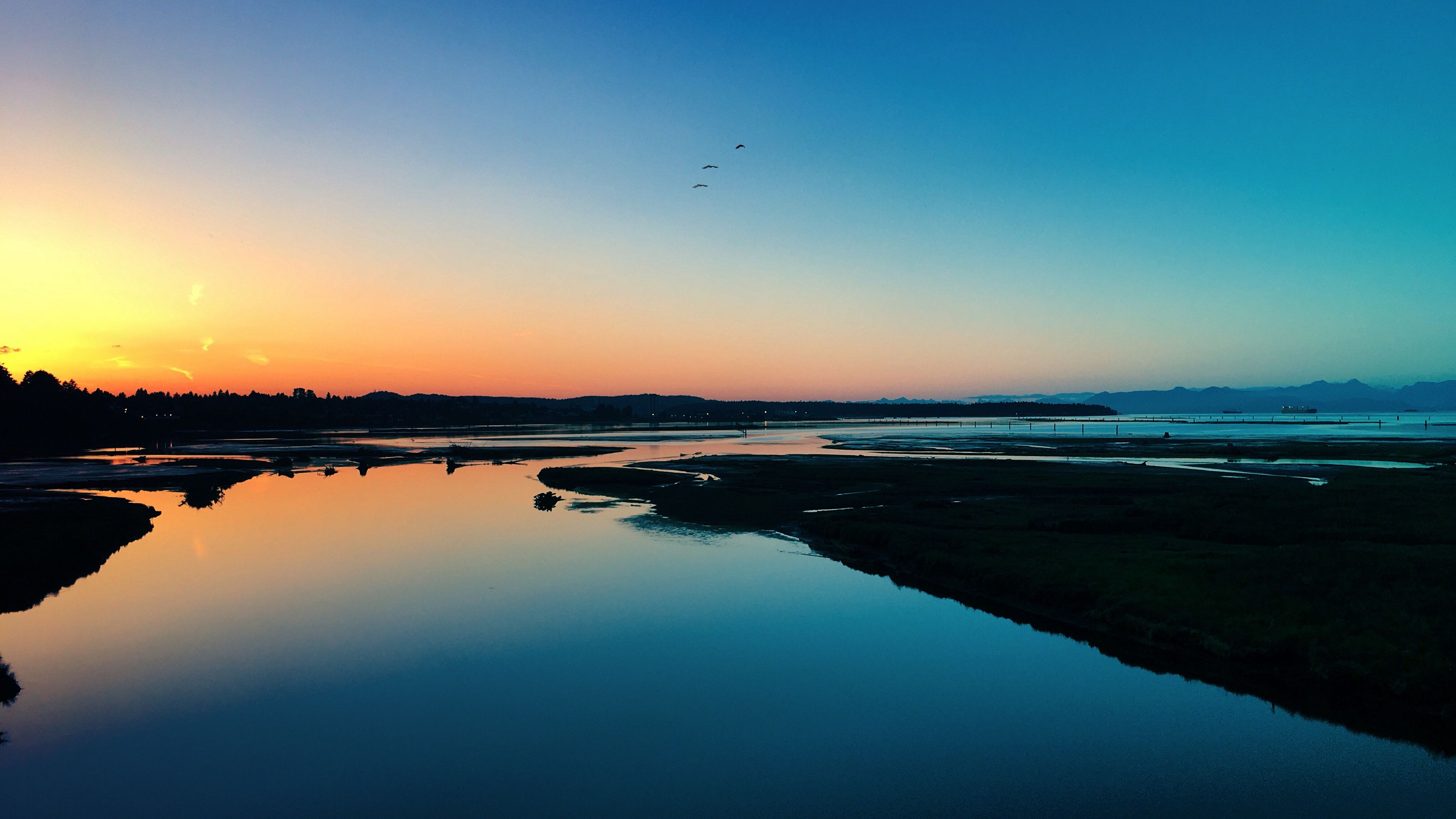 sea, sunset, shore, birds, 4k, HD Wallpaper