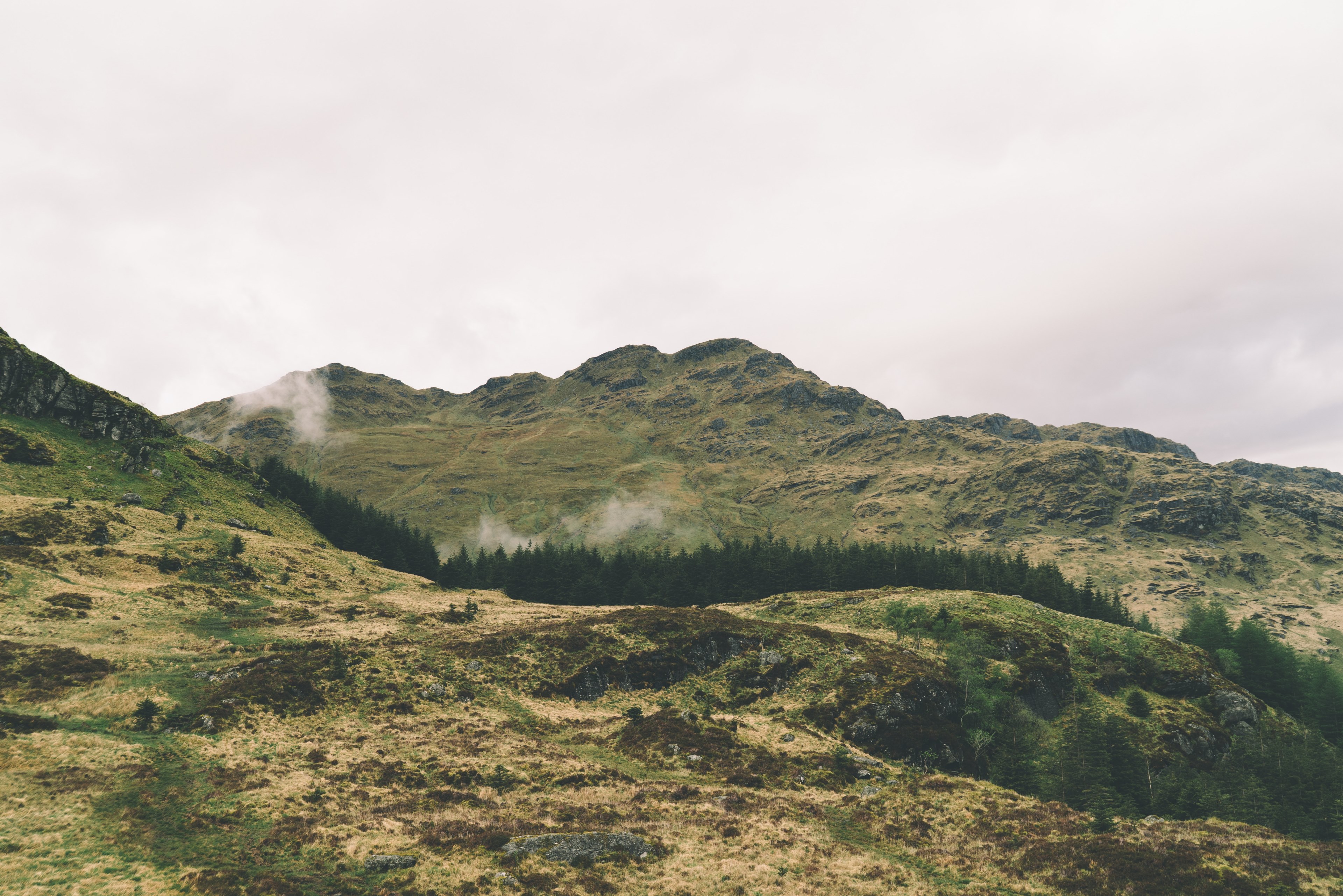grass and trees on the slopes of a craggy hill in scotland, in the scottish highlands 4k, HD Wallpaper