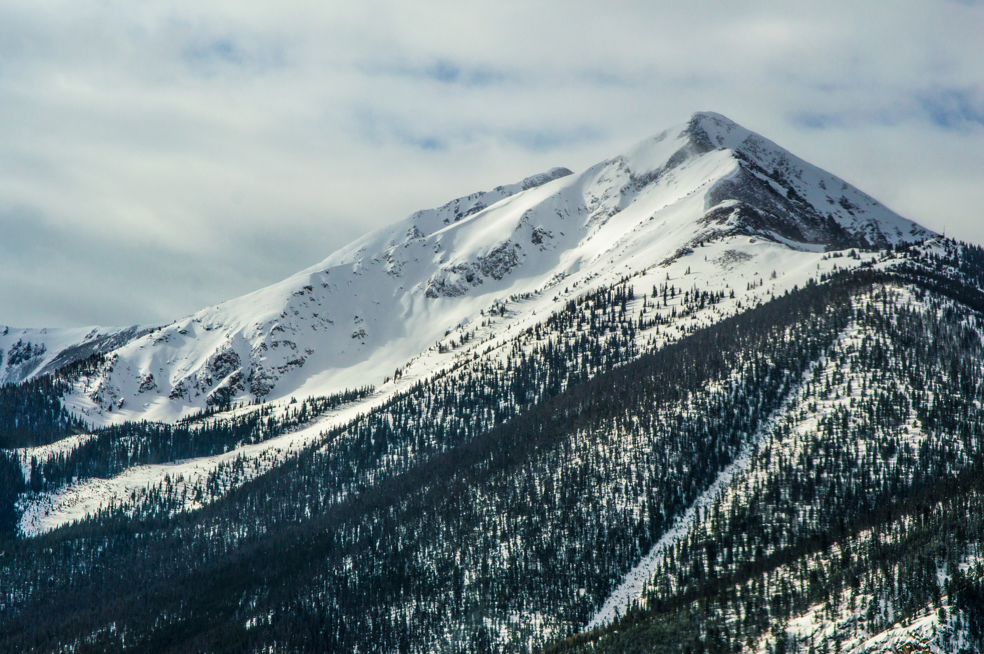 a tall snowy peak with wooded slopes against a cloudy sky, white mountain with wooded slopes 4k, HD Wallpaper