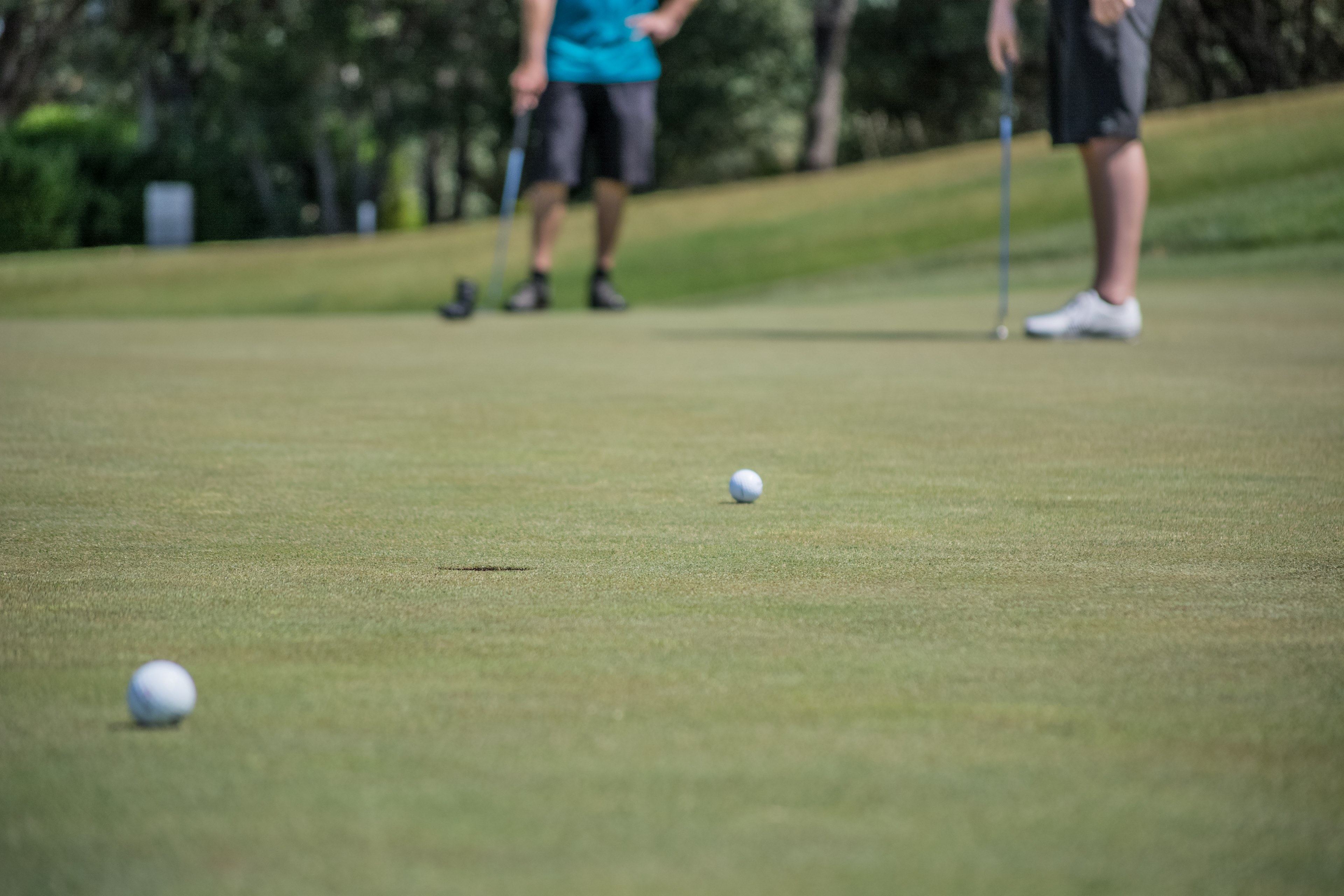 two men putting to see who can score first on a golf hole, golfing against each other 4k, HD Wallpaper