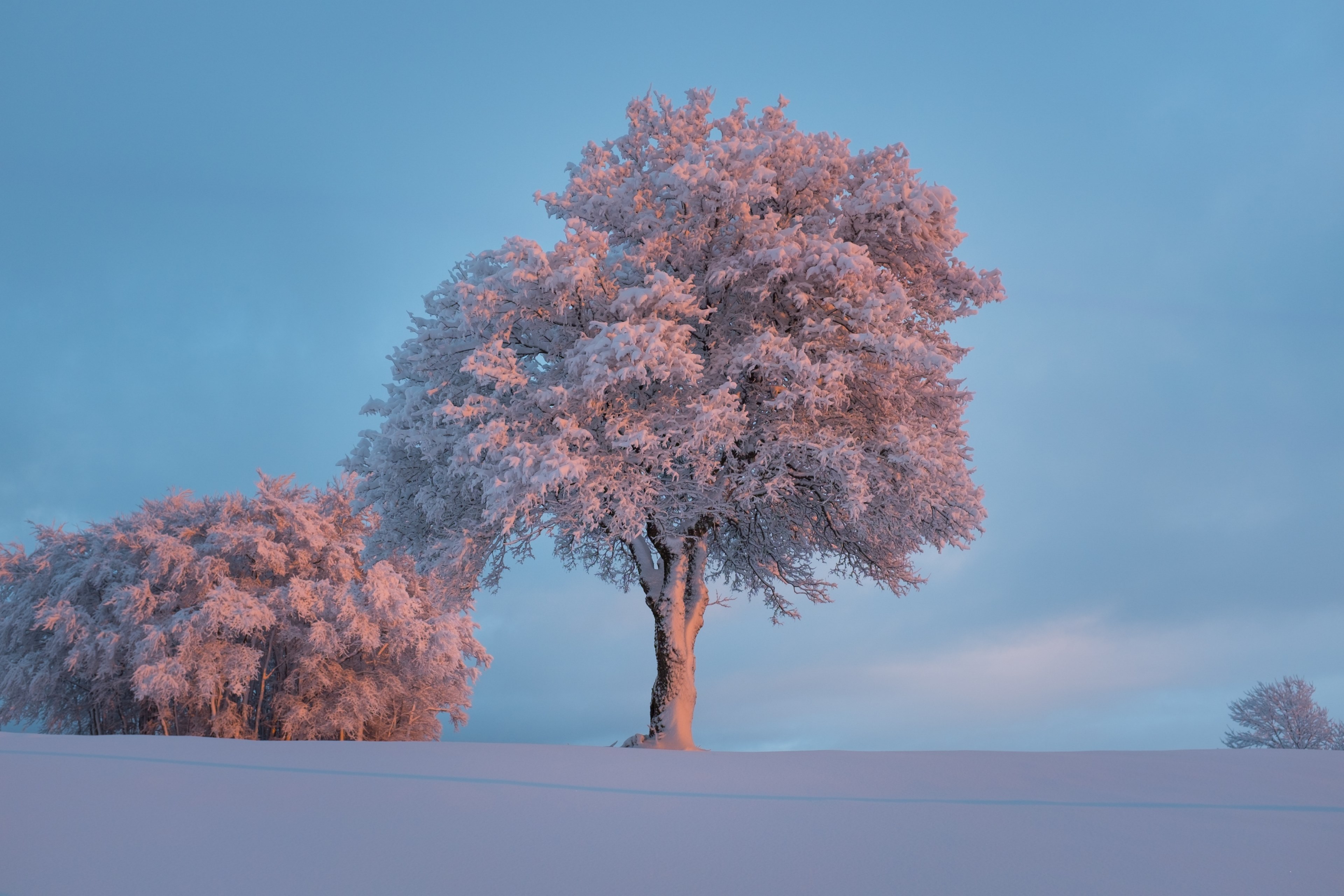 ice fog landscape and winter 4k, HD Wallpaper