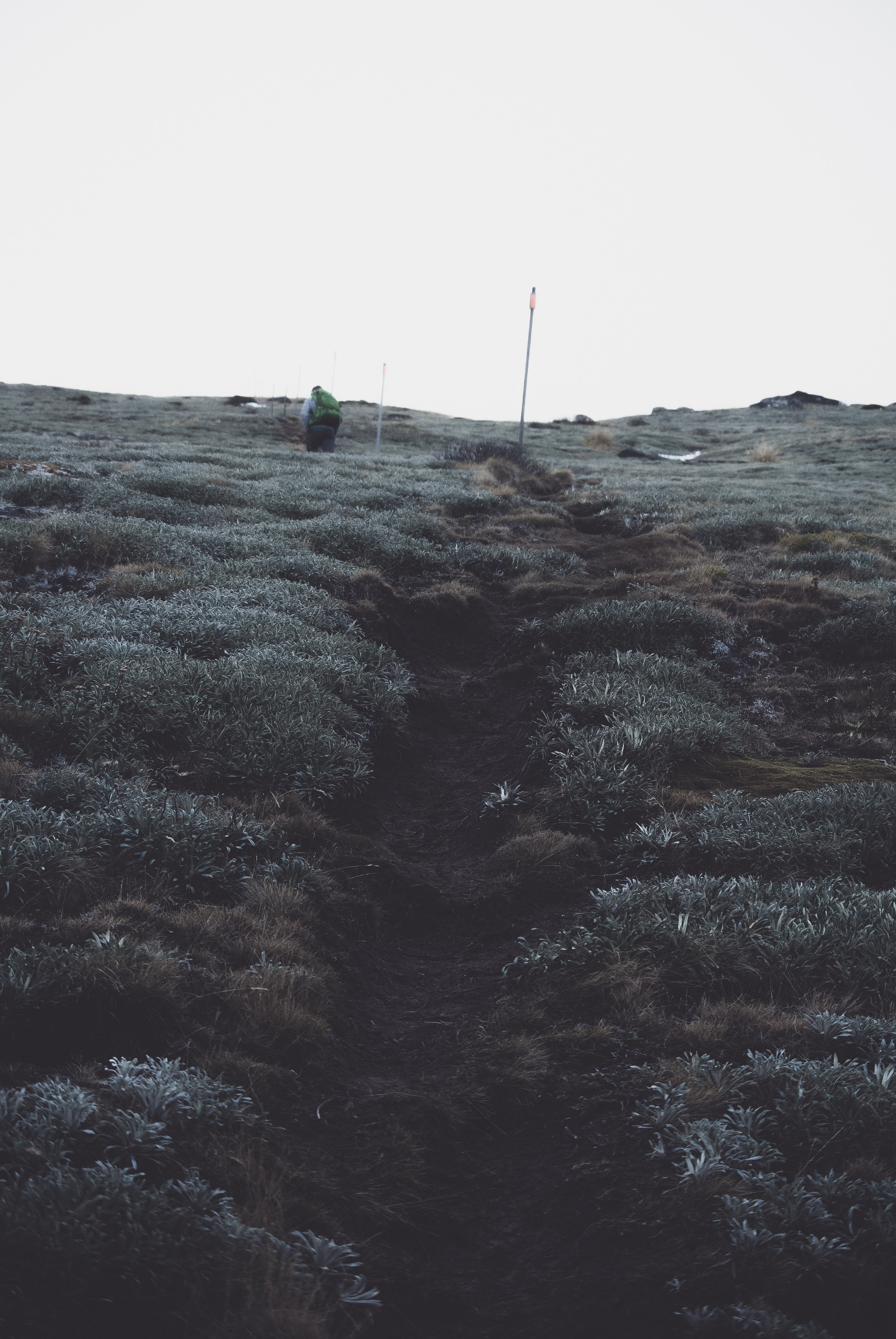 the path to pillars 4k, Phone HD Wallpaper