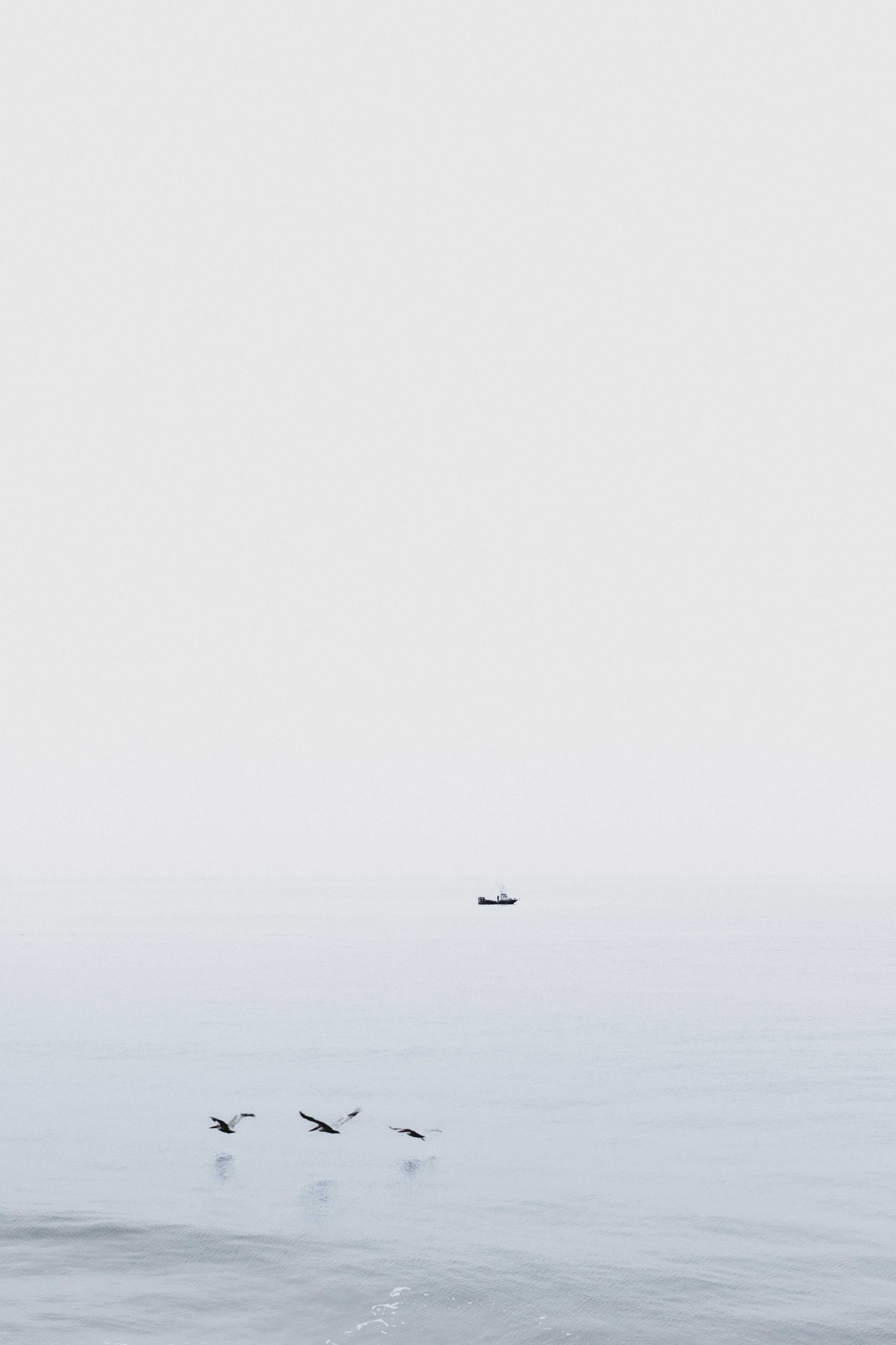 fishermans morning 4k, Phone HD Wallpaper