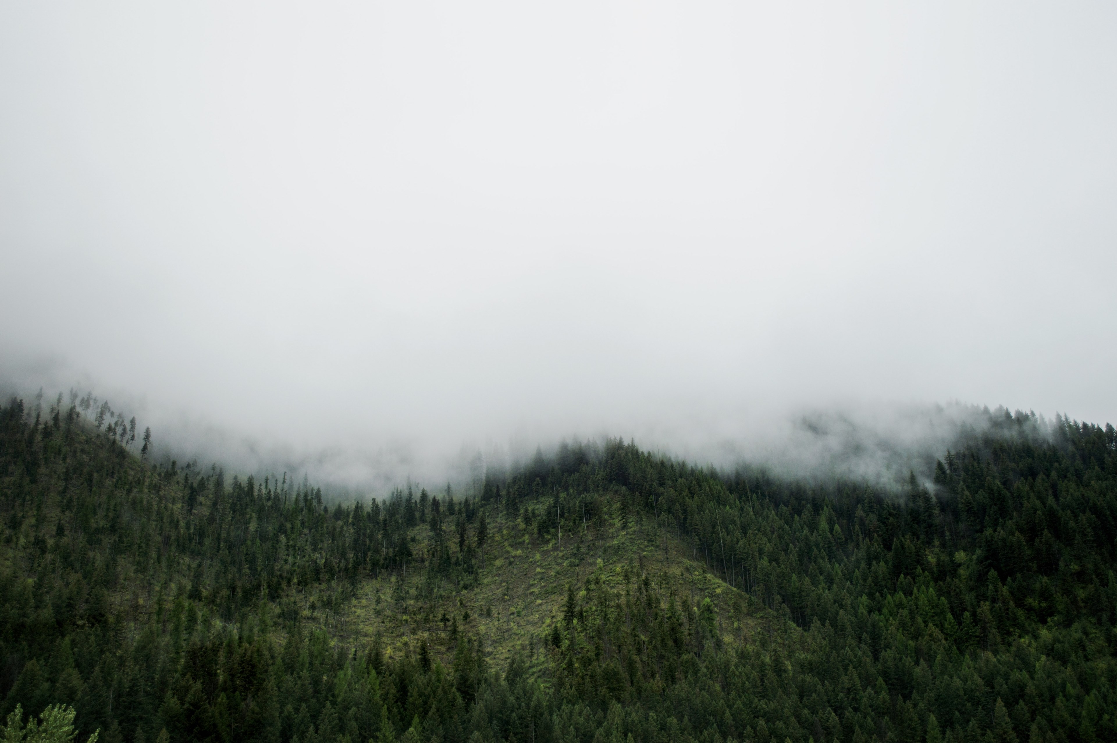 foggy roadside views 4k, HD Wallpaper