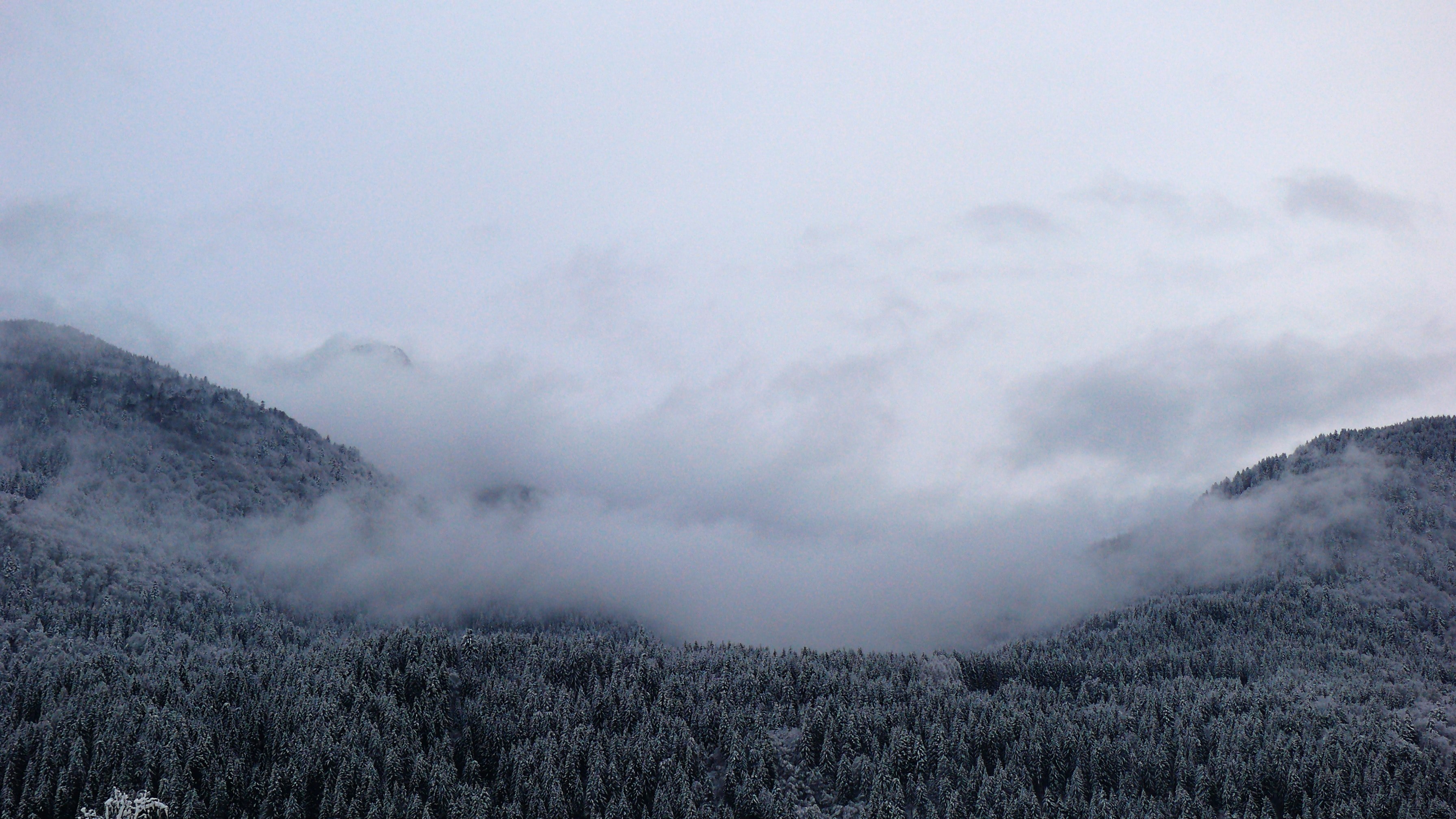 clouds falling into a forrest 4k, HD Wallpaper
