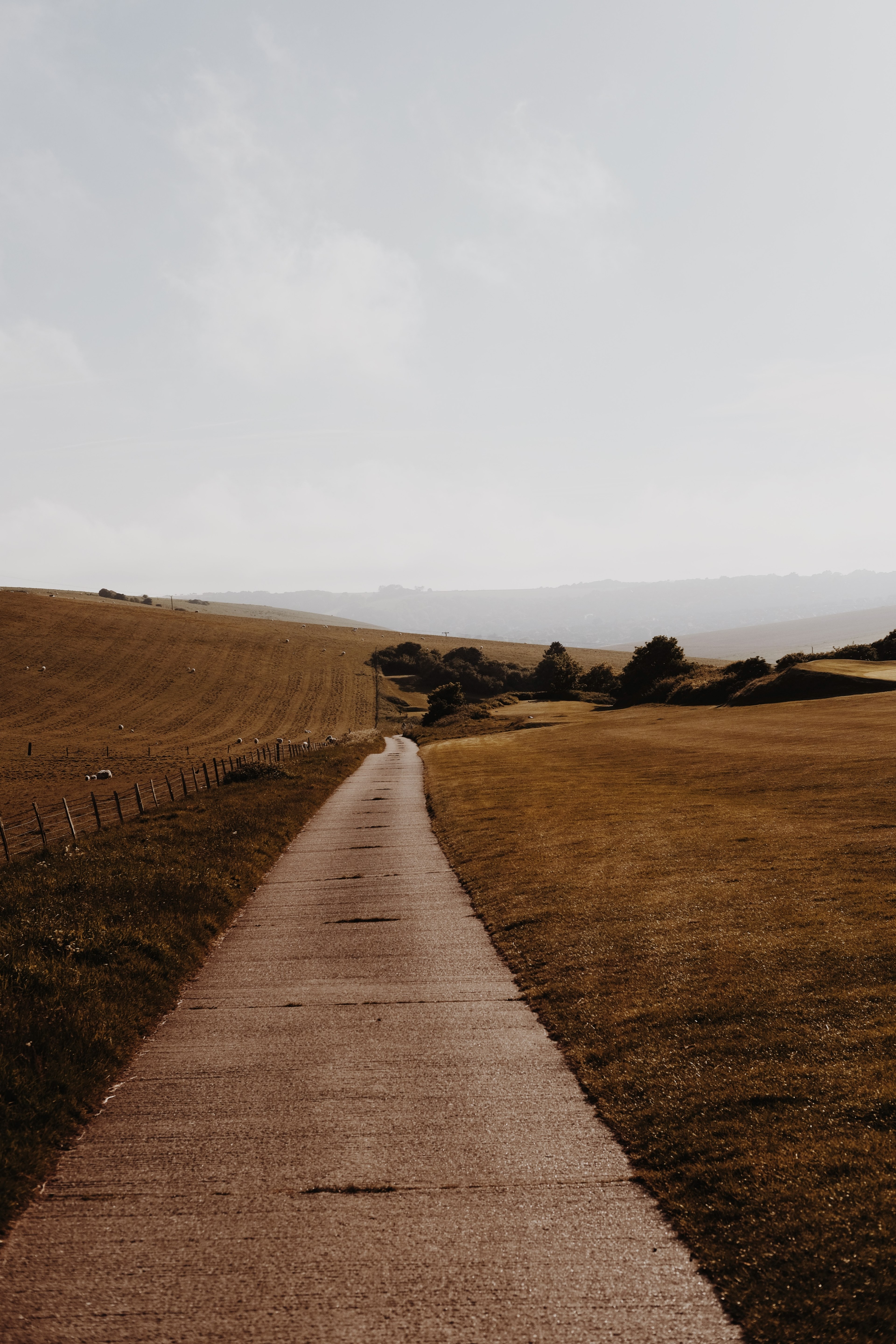 a look down a walkway leading through sloped land with fog covered mountains in the background, _golden fields 4k, Phone HD Wallpaper