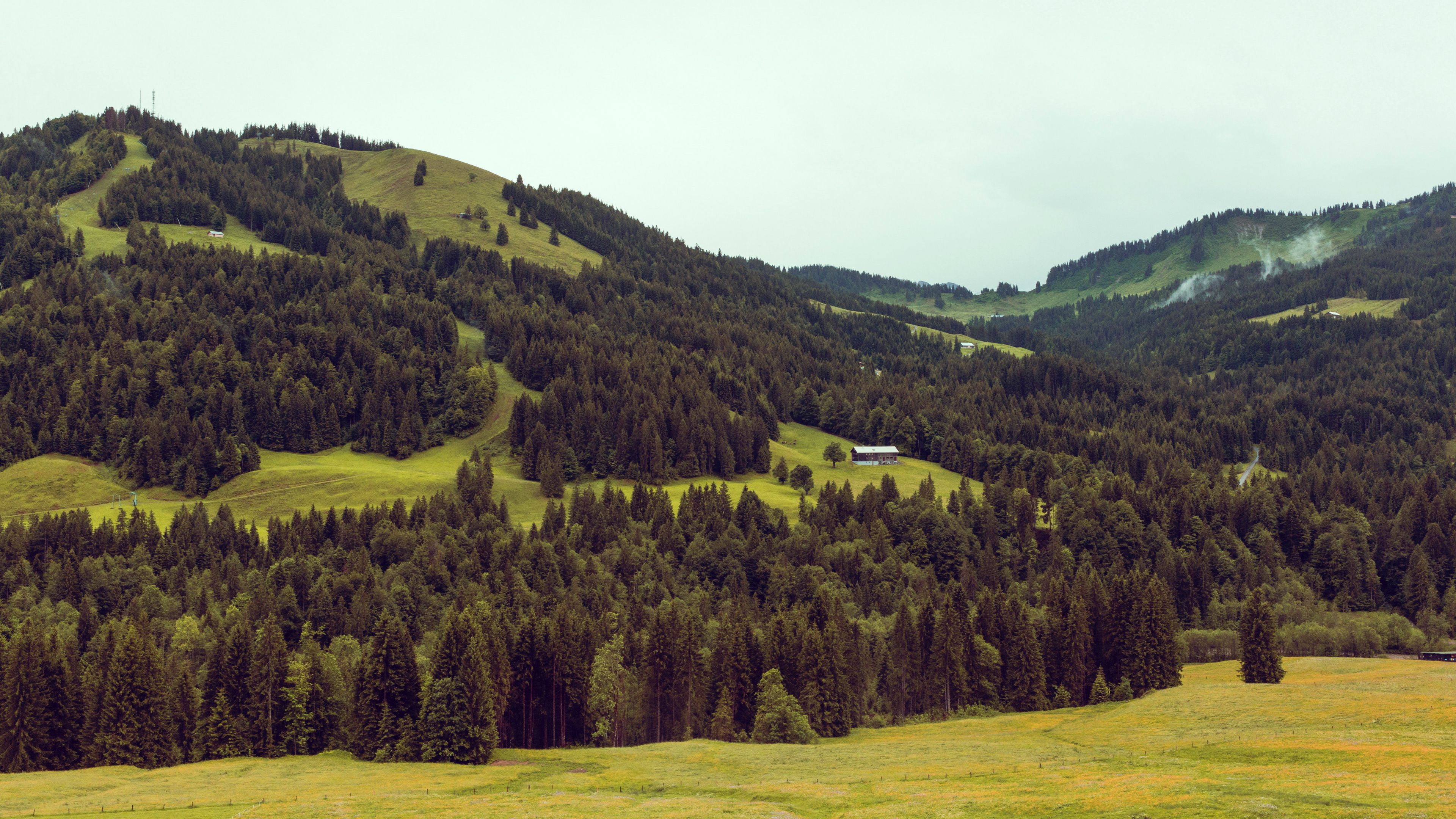 mountains, trees, hill, 4k, HD Wallpaper