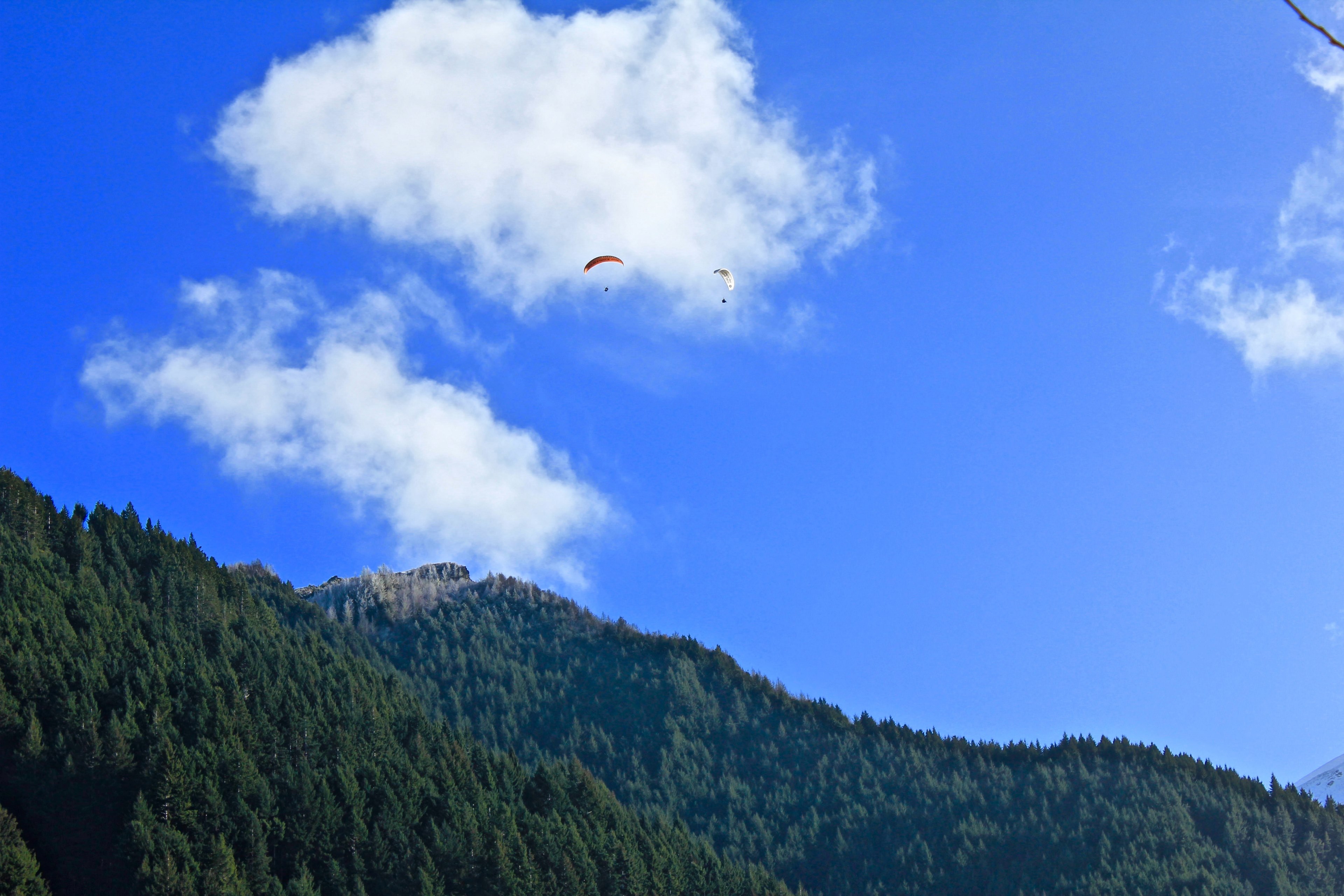 tree cloud mountain and paragliding 4k, HD Wallpaper