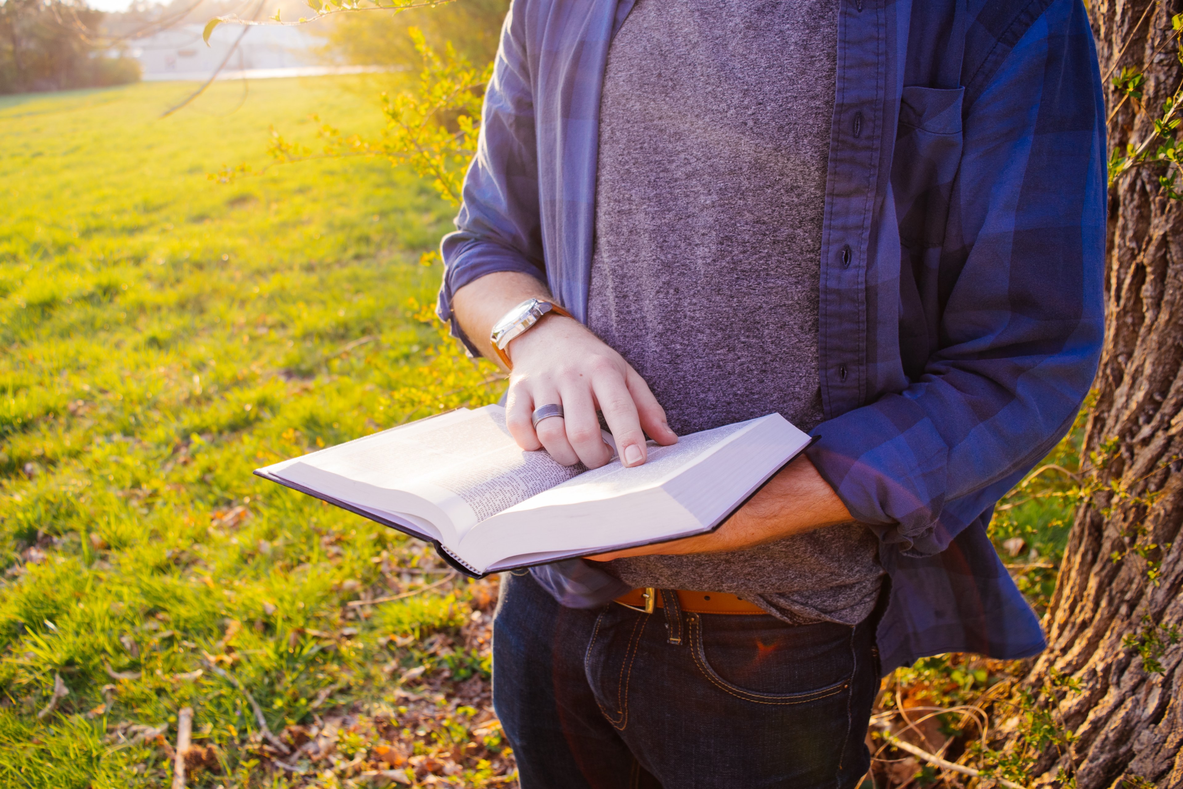 book hand read and field 4k, HD Wallpaper