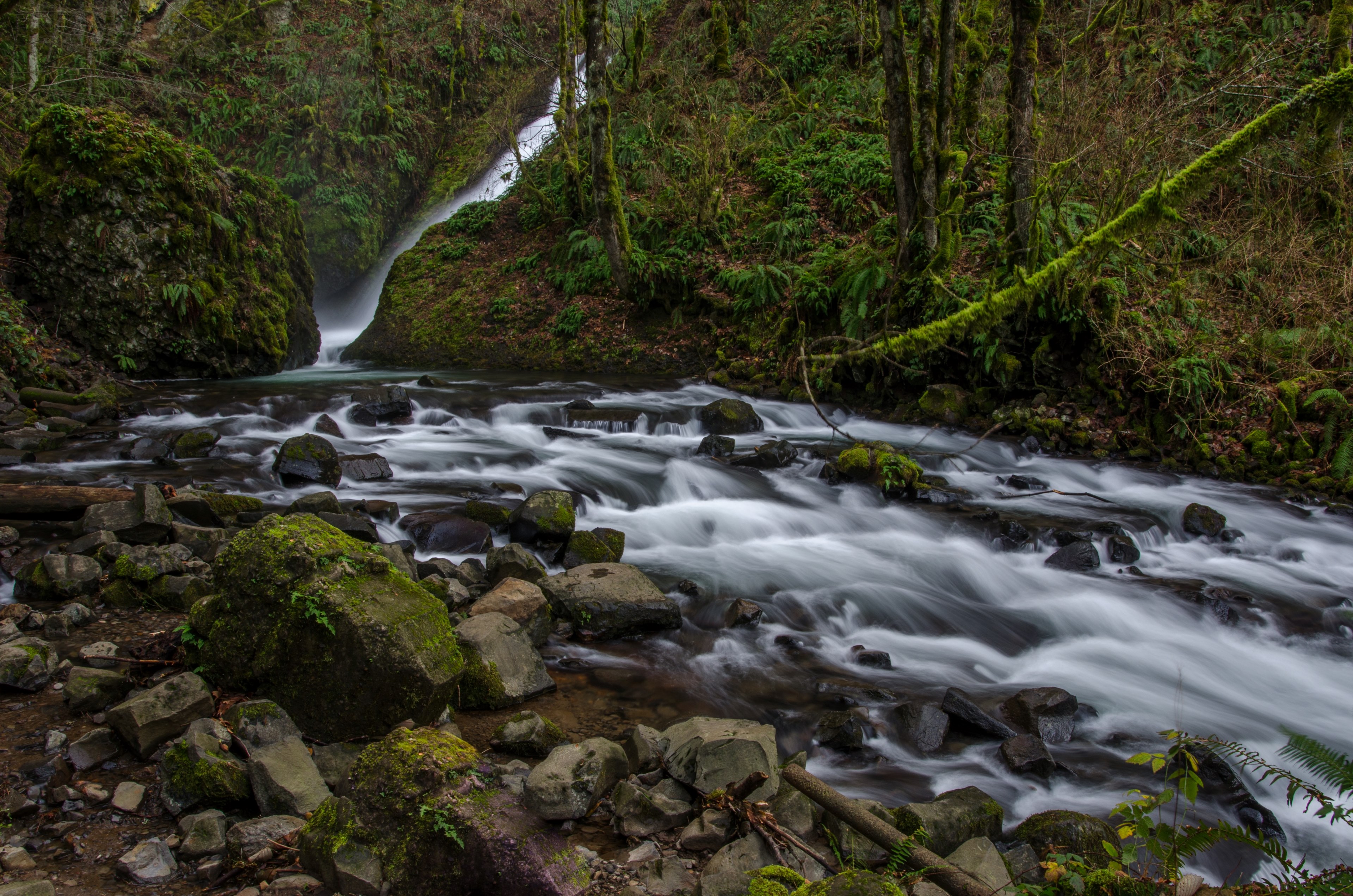 waterfall river rock and forest 4k, HD Wallpaper