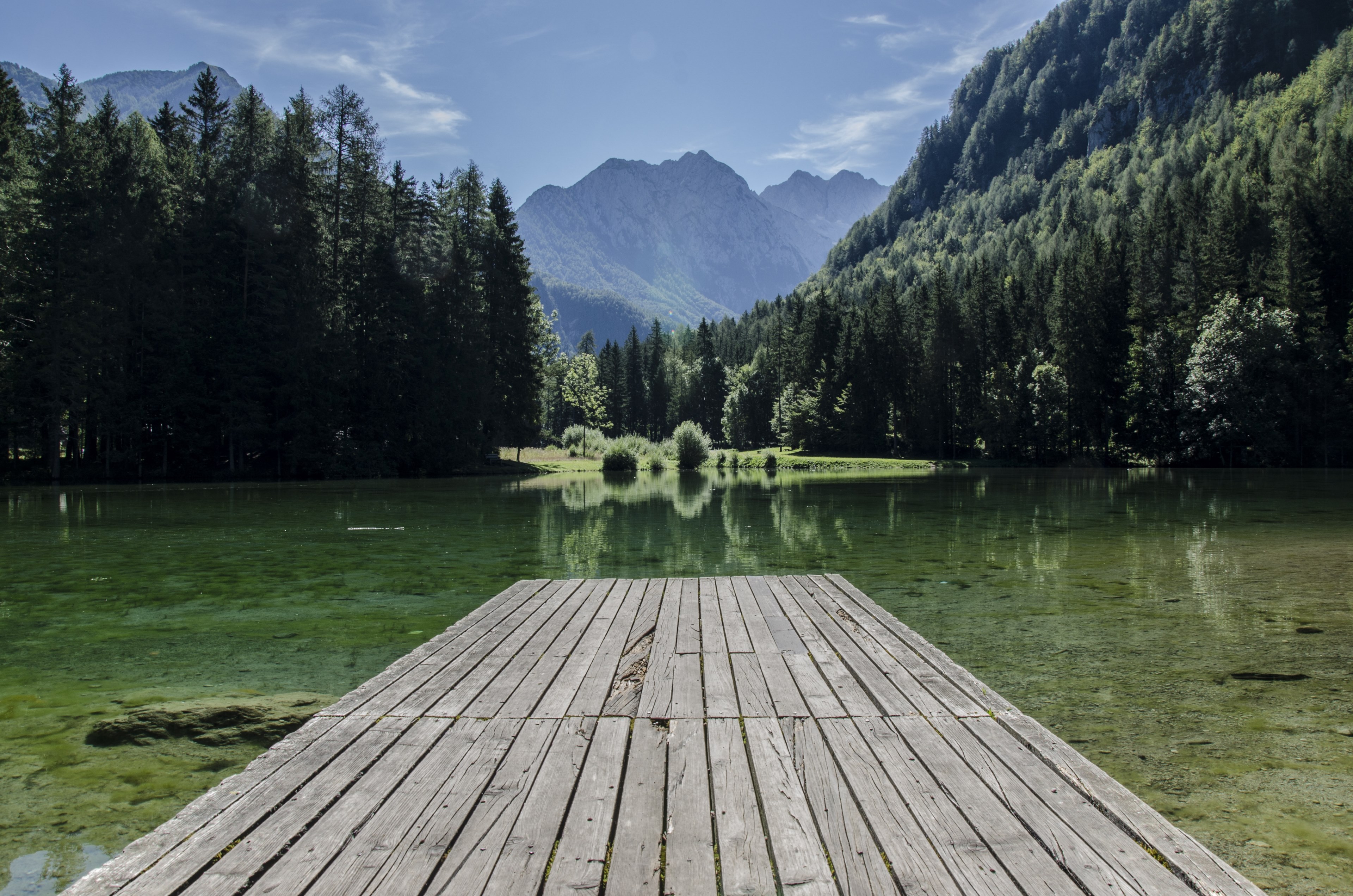 wooded slopes rolling down to a green lake with a wooden jetty in the foreground, morning on a lake jetty 4k, HD Wallpaper