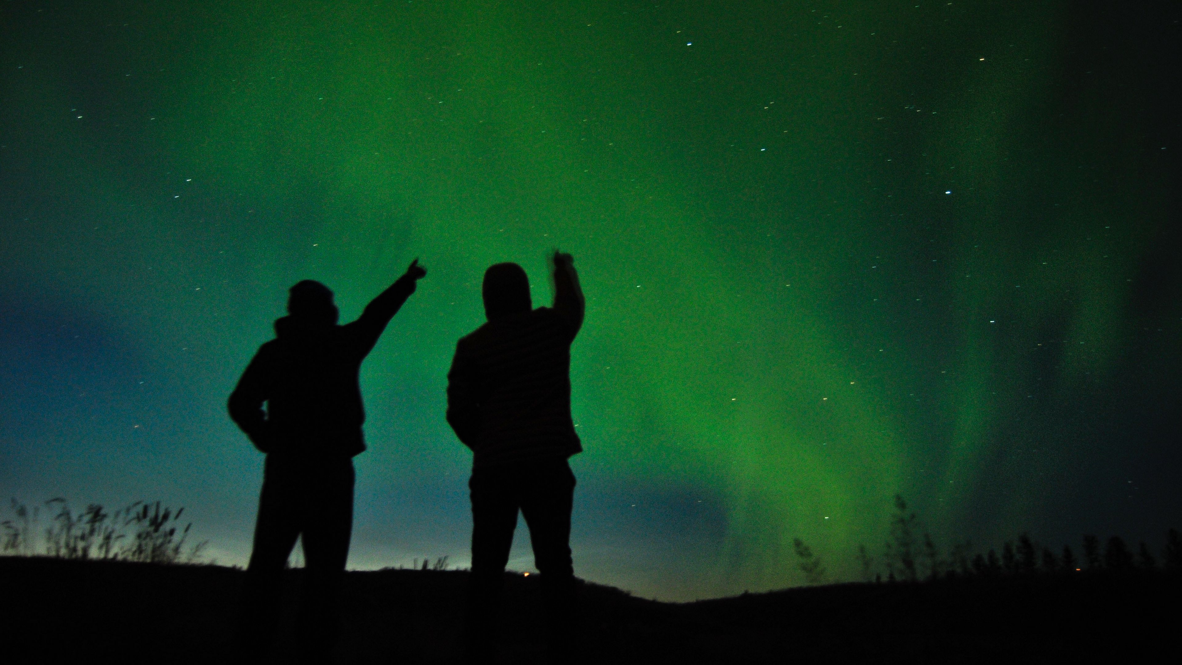 silhouettes, starry sky, night, 4k, HD Wallpaper