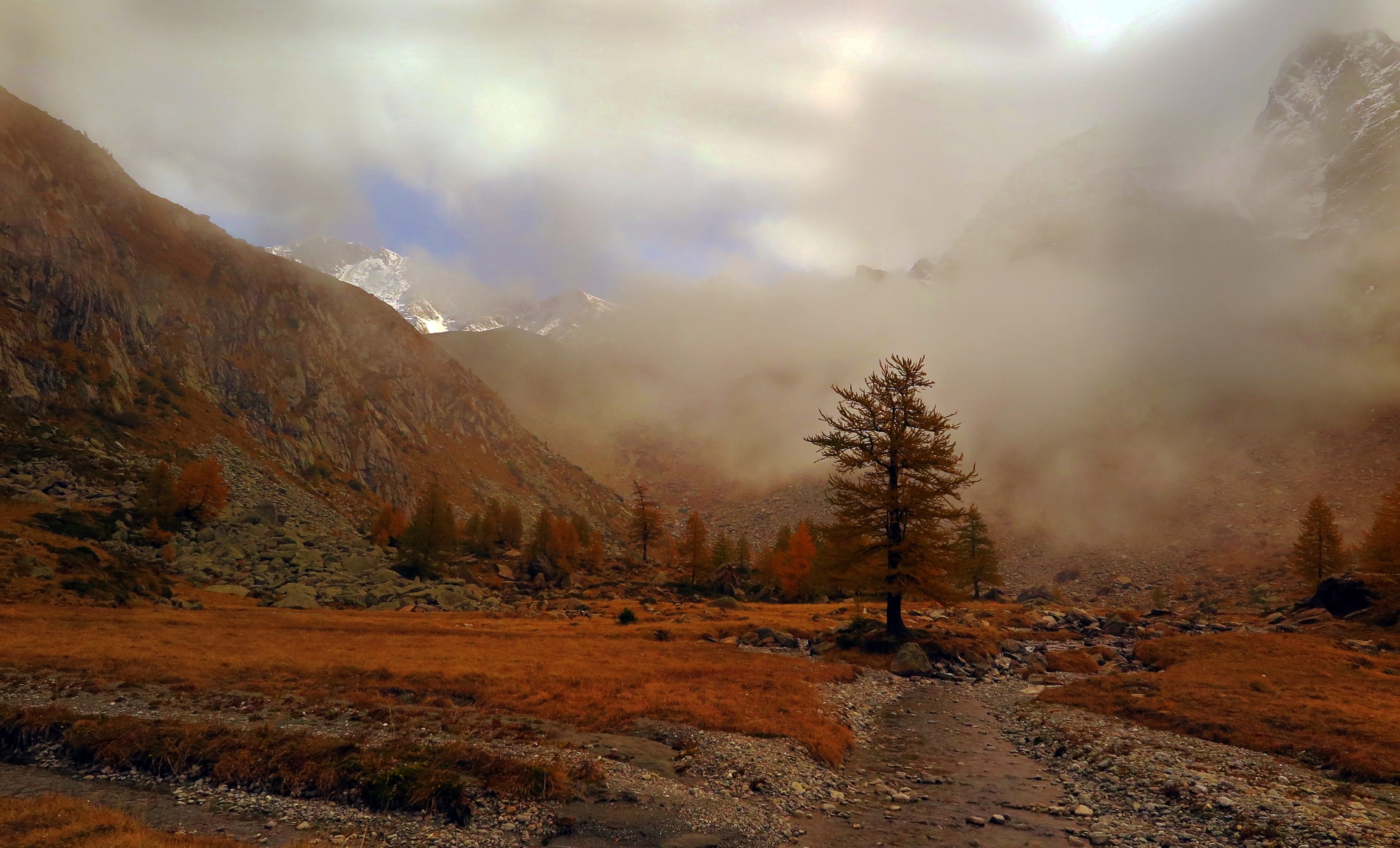 rock tree outdoor and hill 4k, HD Wallpaper