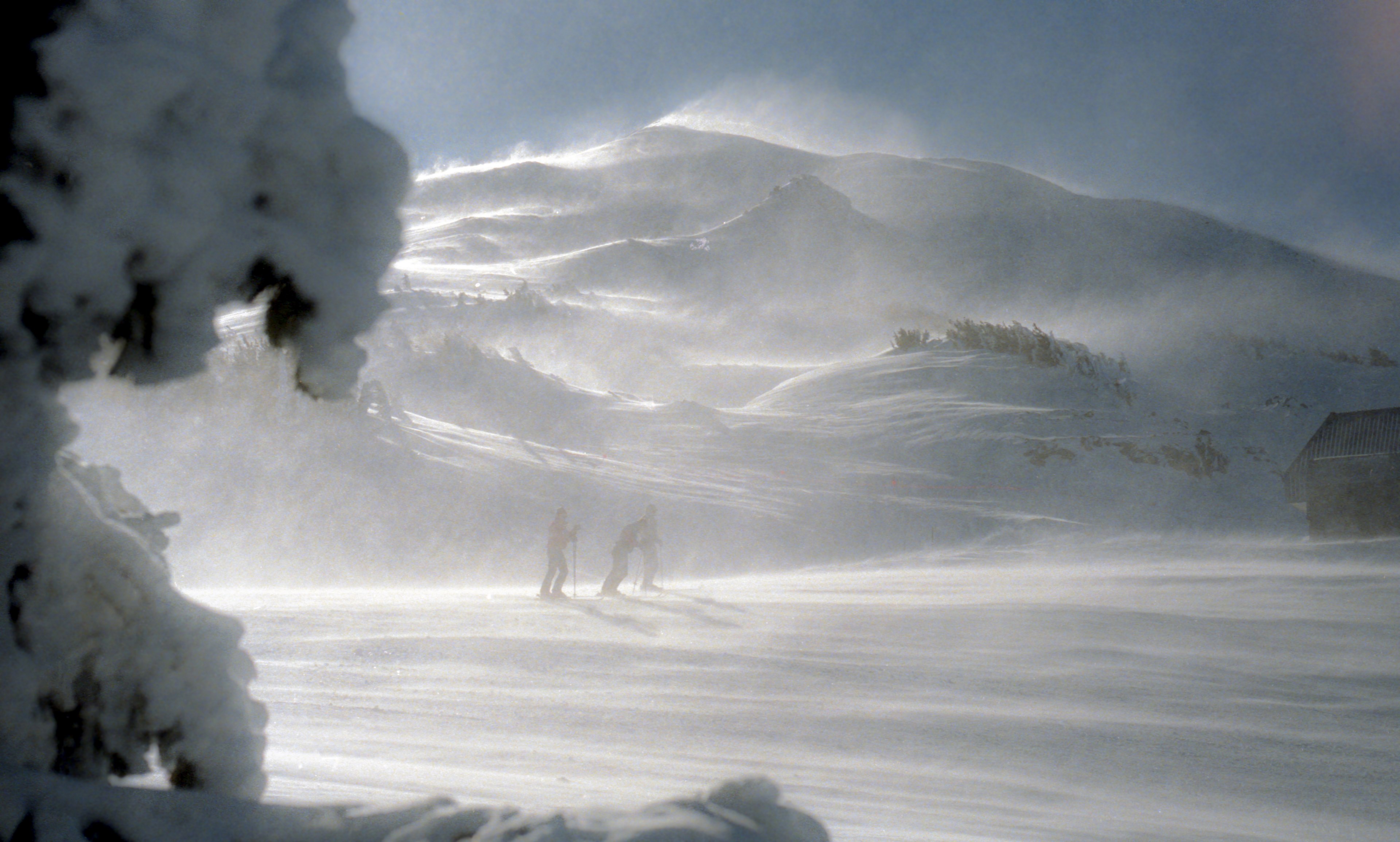 people hiking through windy snow at the bottom of mount bachelor in oregon, hiking mount bachelor oregon 4k, HD Wallpaper