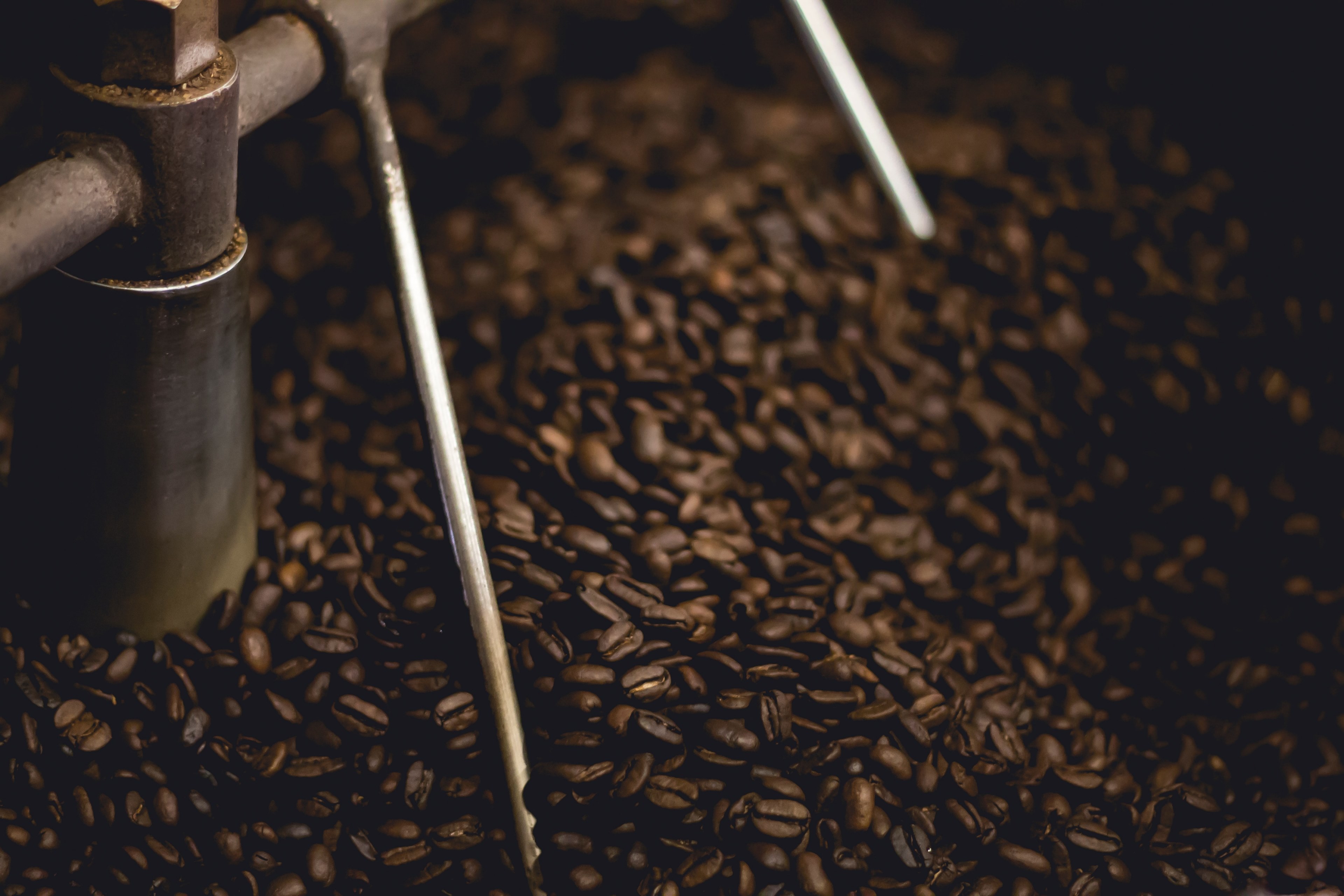 a large amount of coffee beans in a machine, coffee beans in a machine 4k, HD Wallpaper