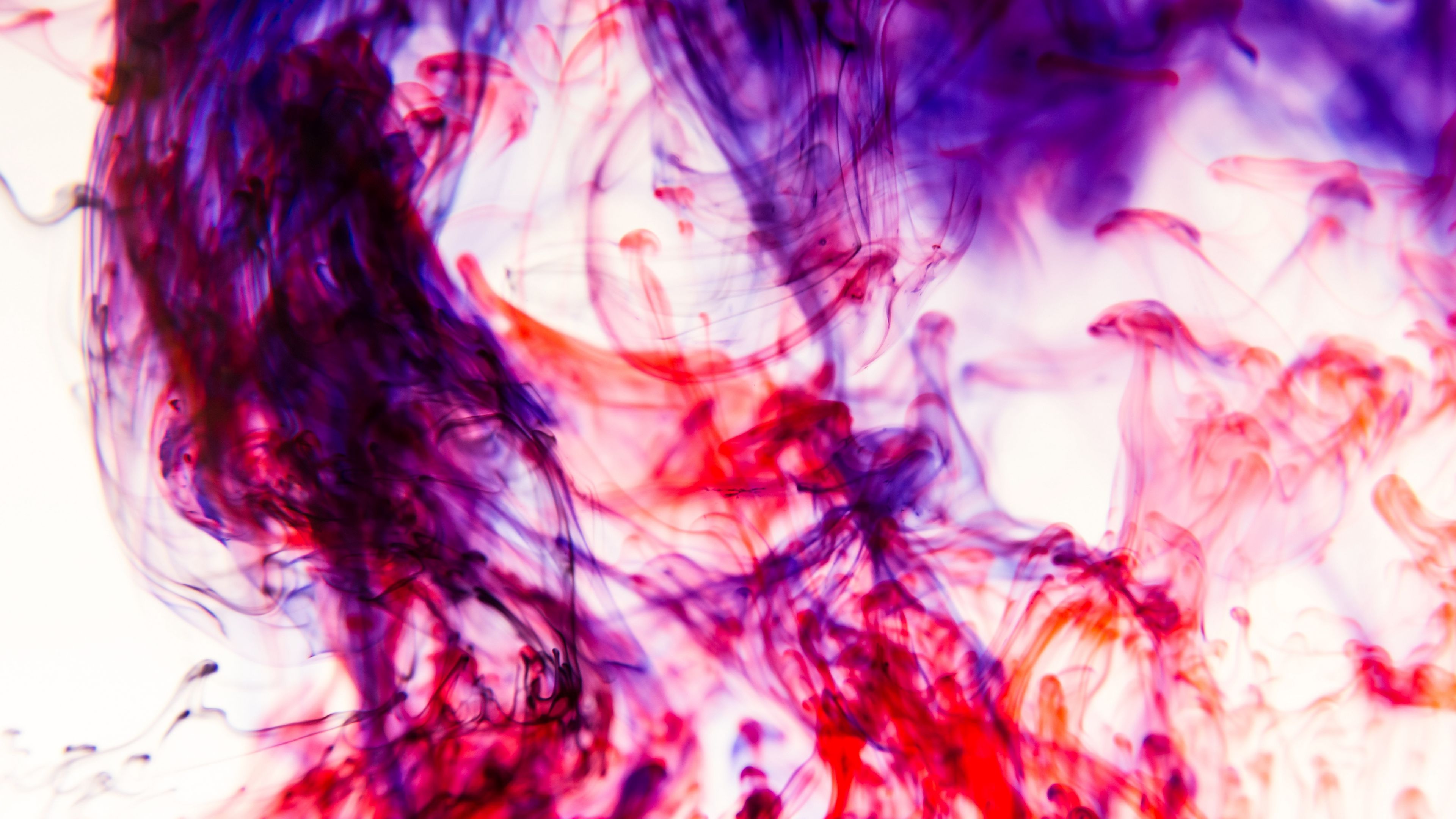 smoke, colorful, lines, spots, 4k, HD Wallpaper
