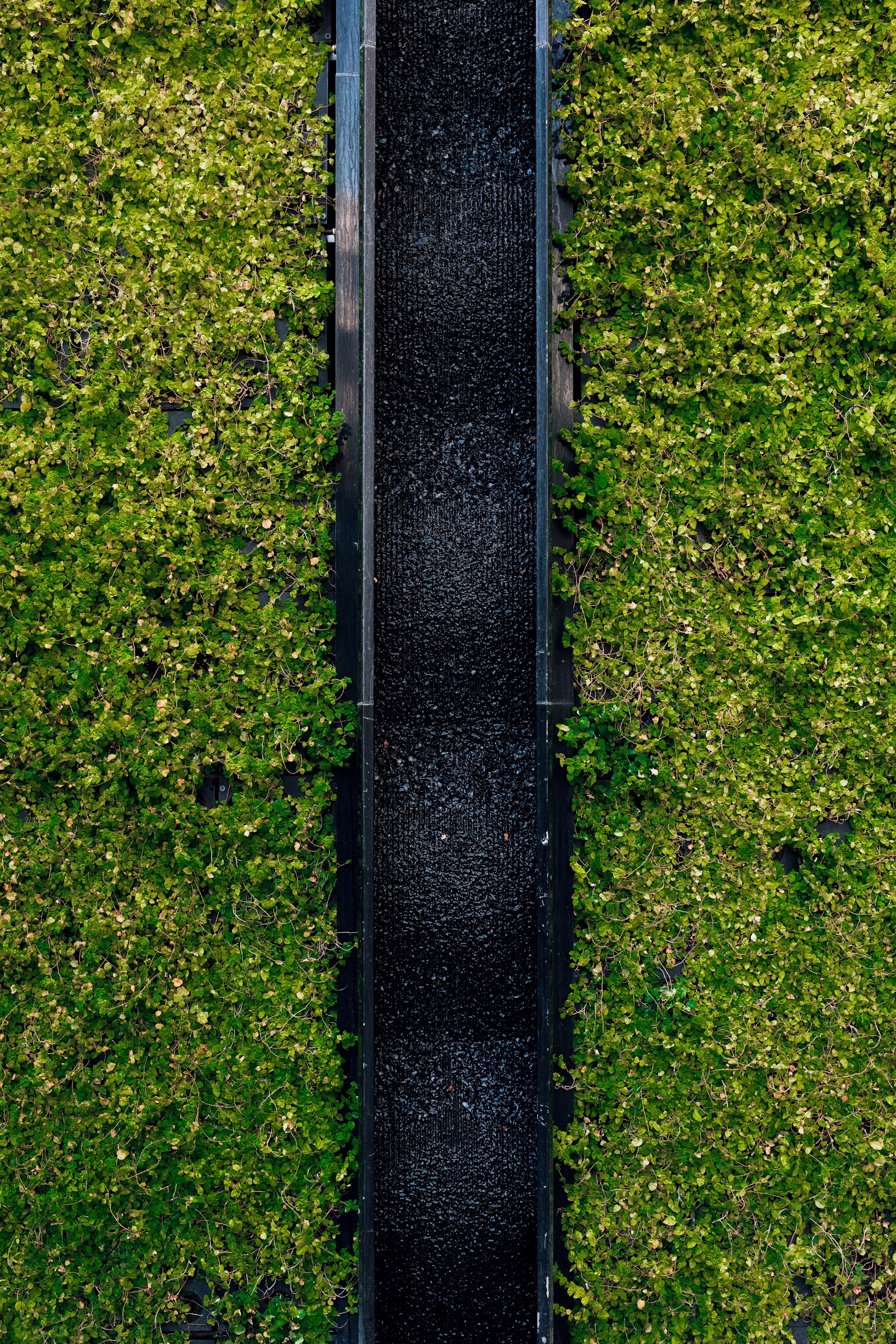 stripe 4k, Phone HD Wallpaper