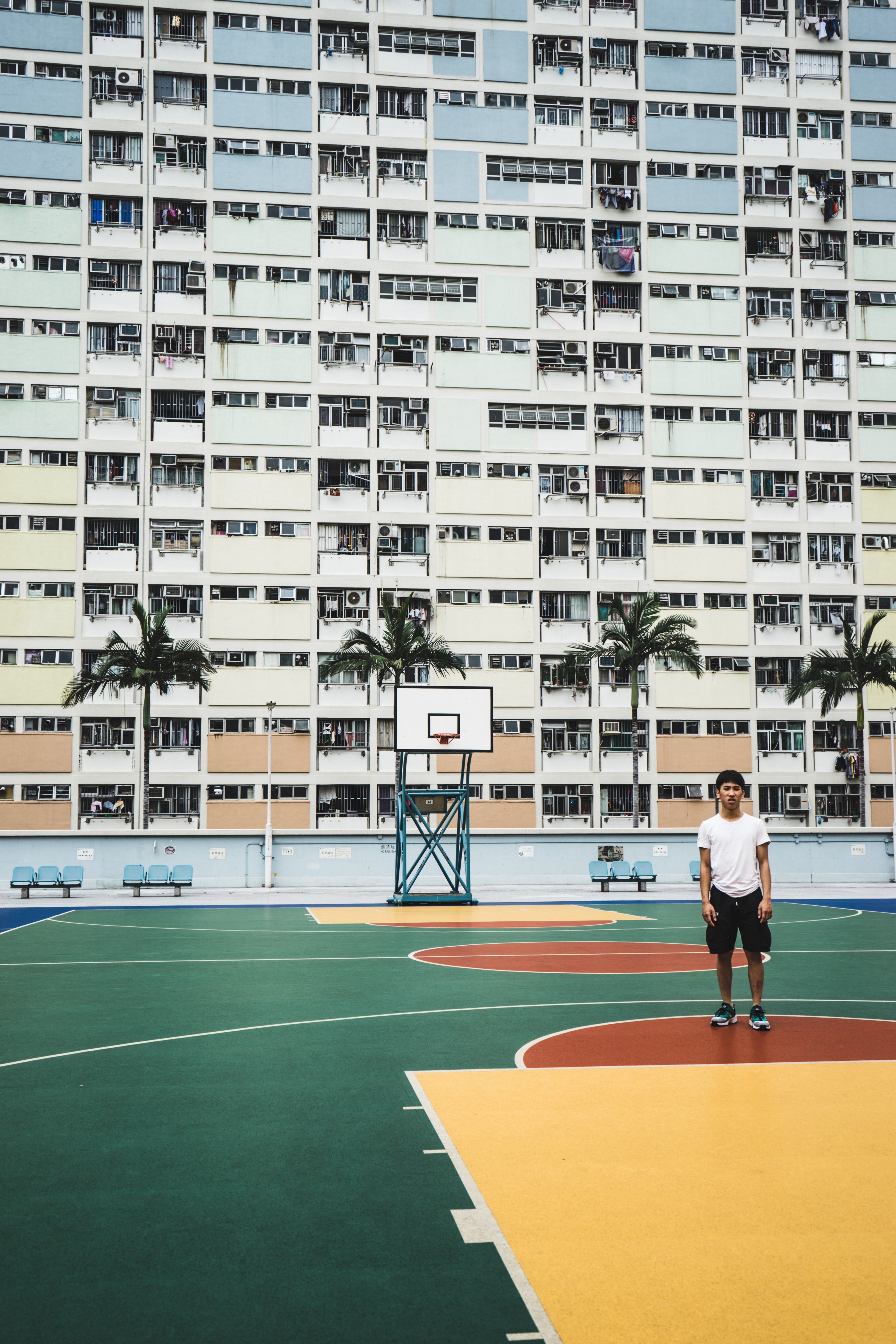 a man standing in a basket ball court with palm trees in front of a building, man standing in court 4k, Phone HD Wallpaper