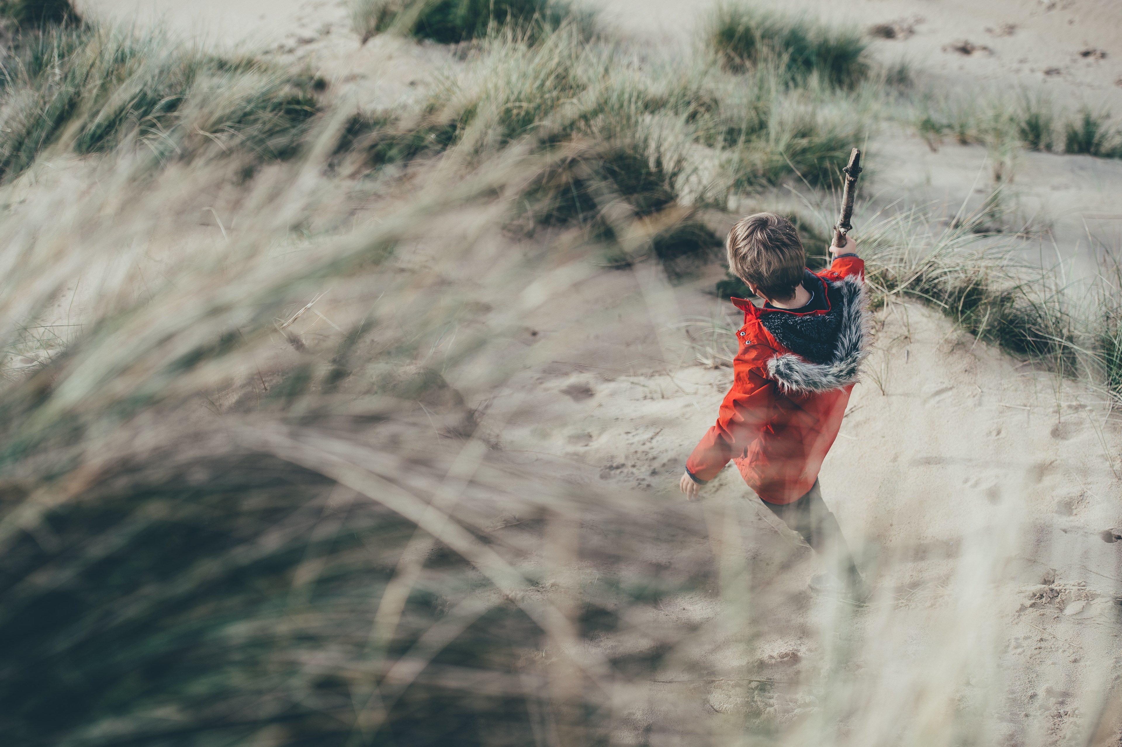 boy kid child and childhood 4k, HD Wallpaper