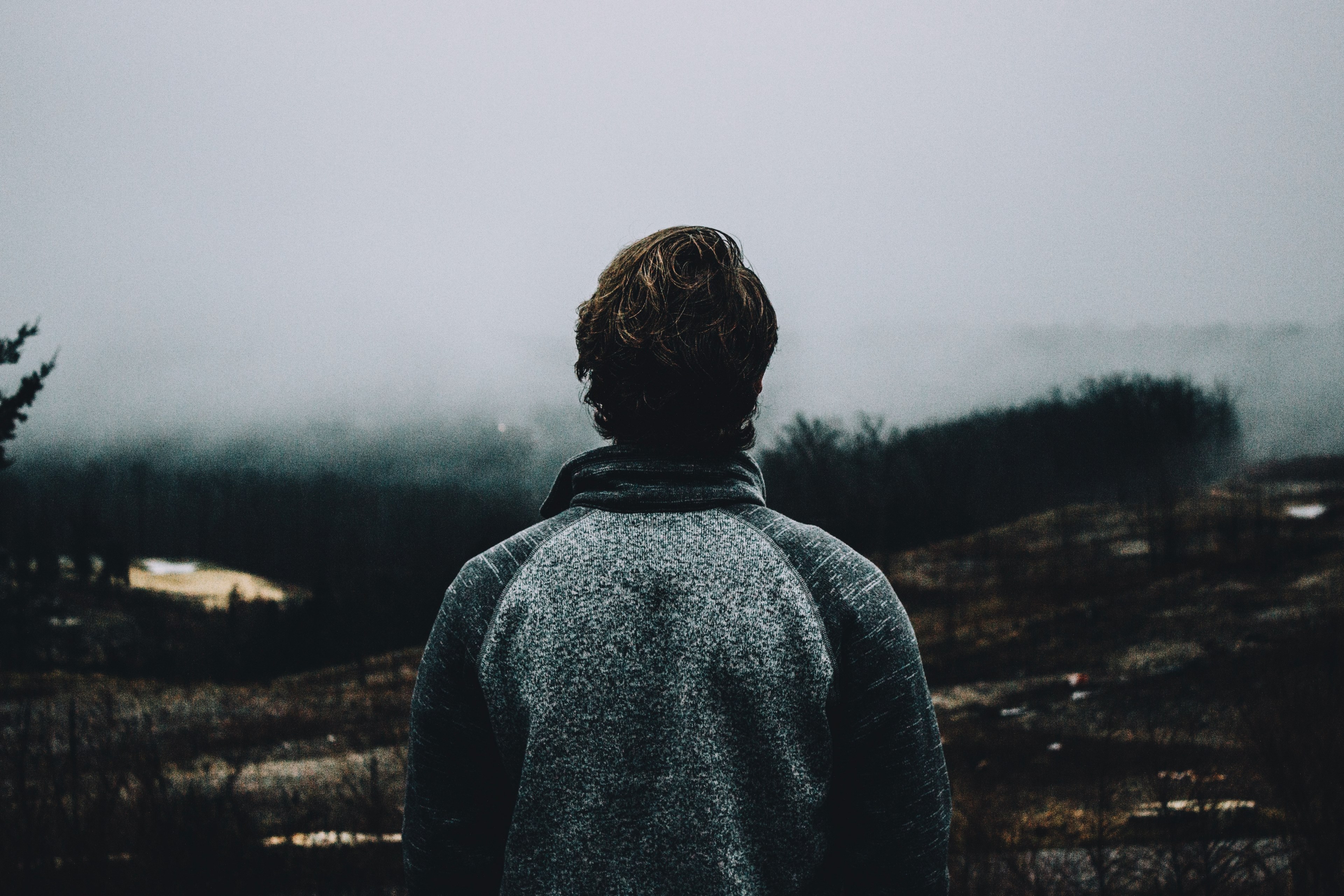 person in a gray sweater looking out at a forest landscape, looking at a foggy forest 4k, HD Wallpaper