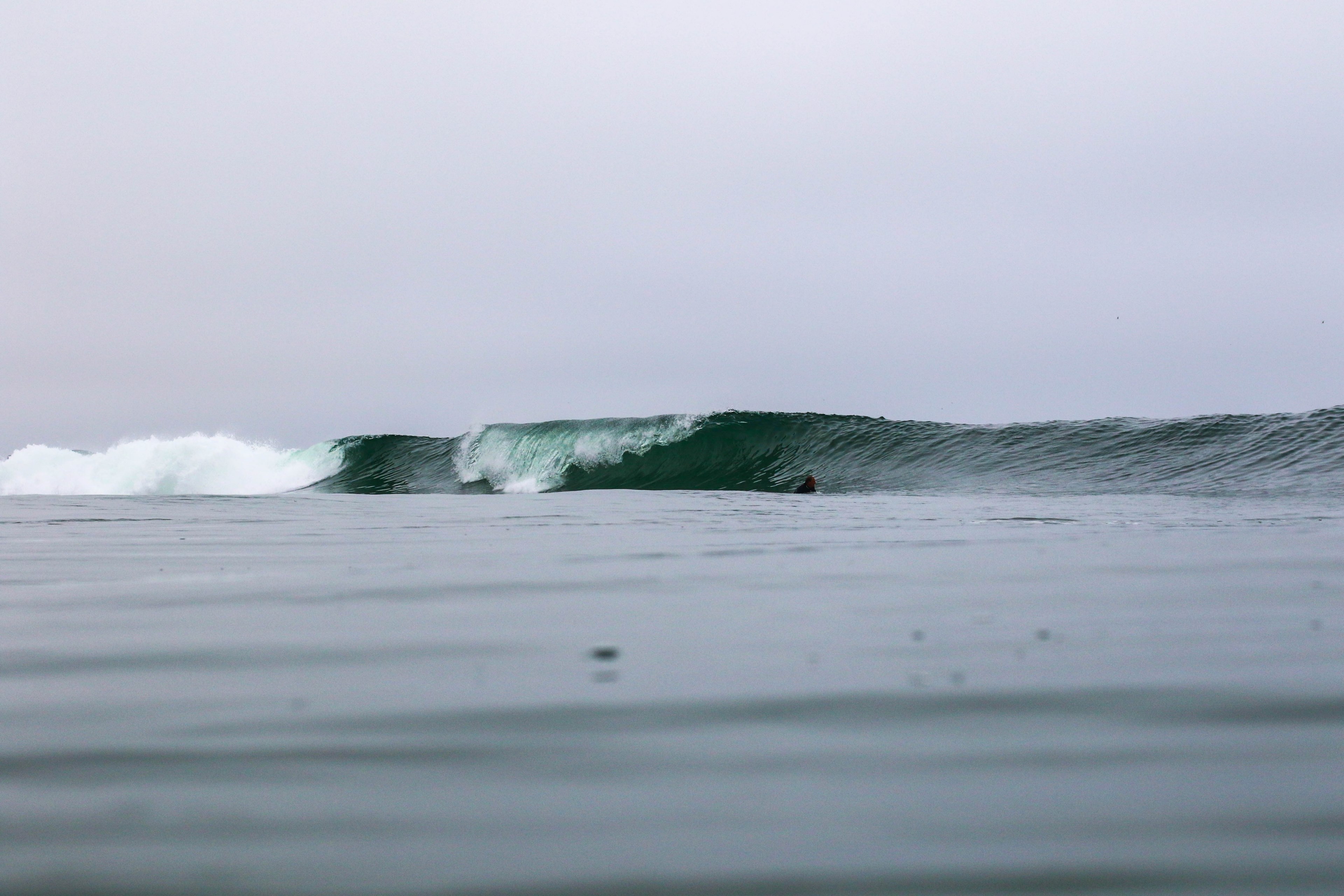 surfer in the water going towards big surf wave at newport beach, wavy sea and overcast sky 4k, HD Wallpaper