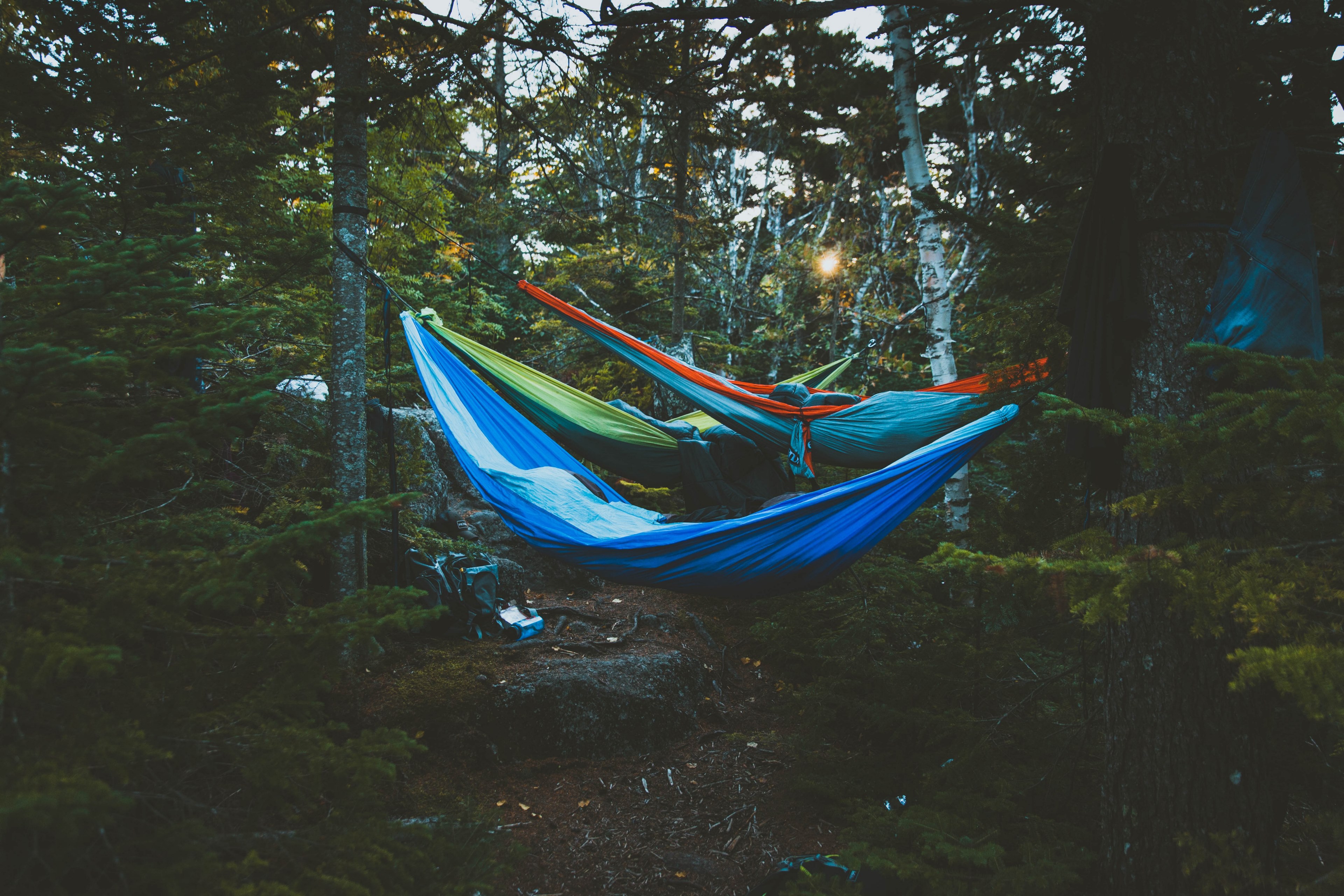 several hammocks hanging on trees in a campsite, campsite hammocks 4k, HD Wallpaper