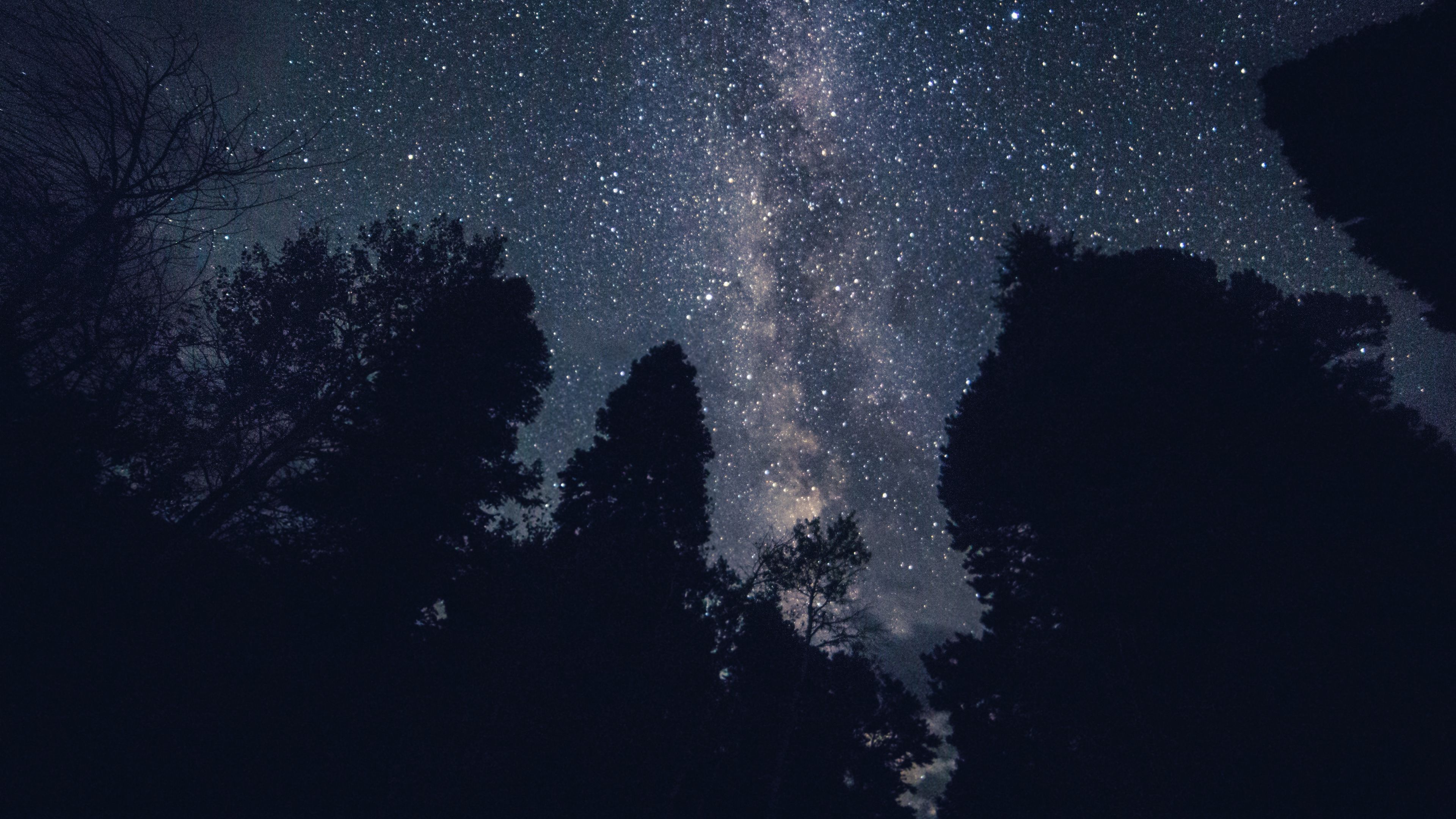 starry sky, night, stars, trees, 4k, HD Wallpaper
