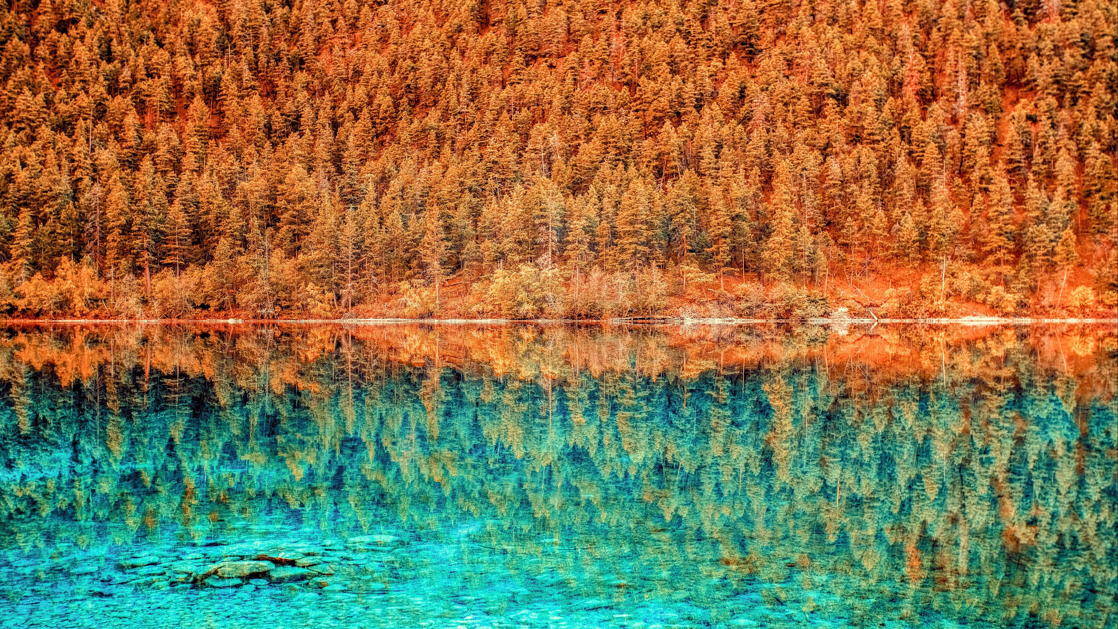 lake, trees, reflection, hdr, 4k, HD Wallpaper