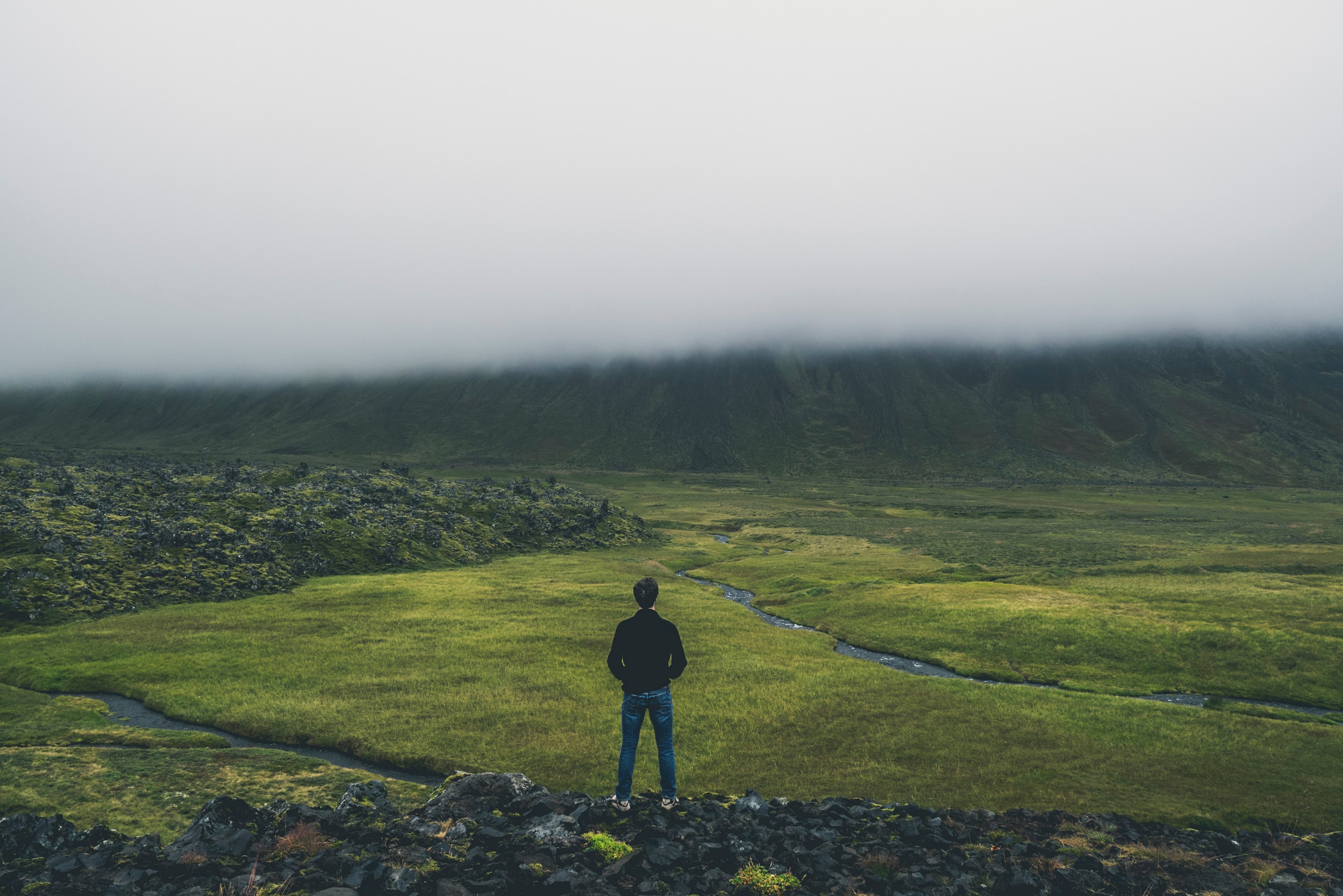 person stands on a rocky trail in a grassy pasture near the mountains, looking at mountain meadows 4k, HD Wallpaper