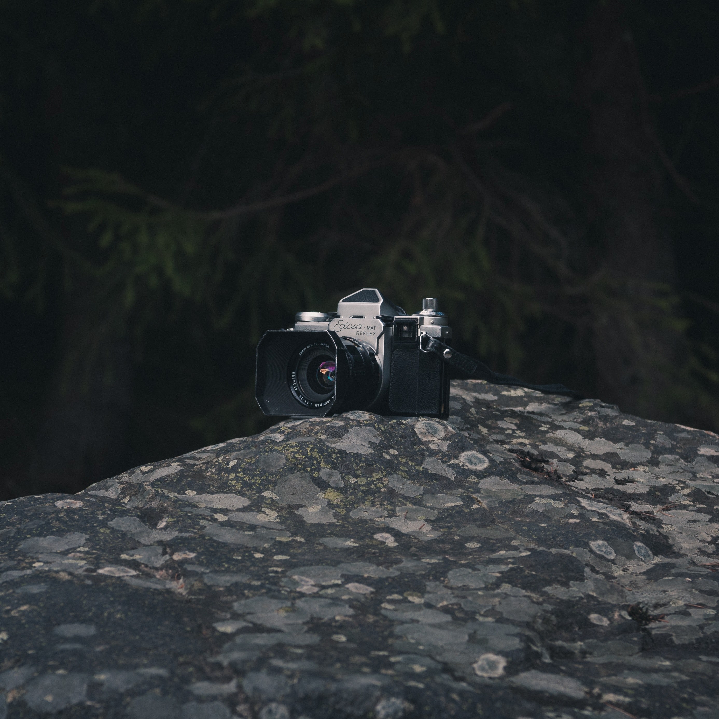 pentax dark green and forest 4k, HD Wallpaper