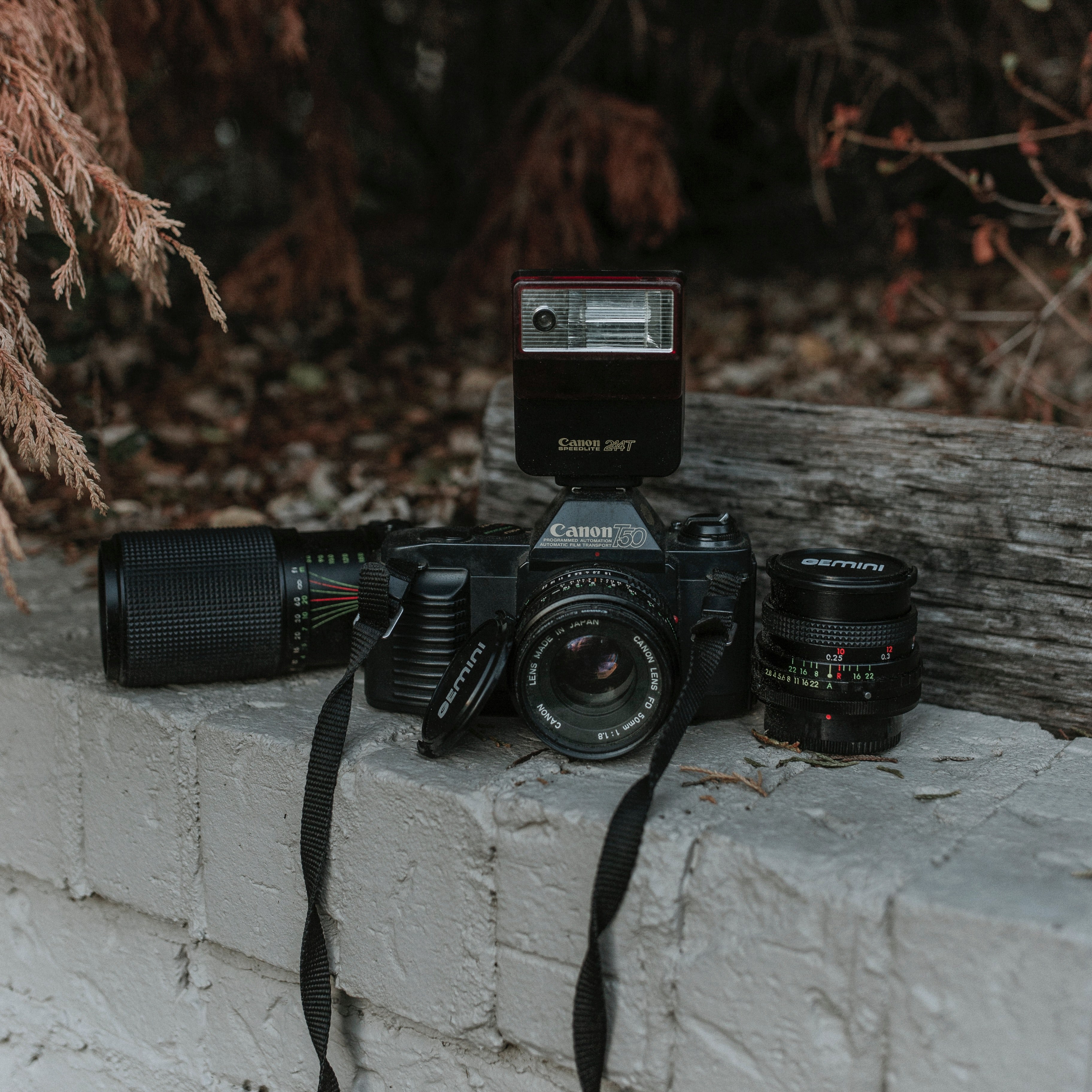 canon t50 with gemini lens covers and additional lens on a cinderblock wall beside red leaves and bushes, canon camera 4k, HD Wallpaper