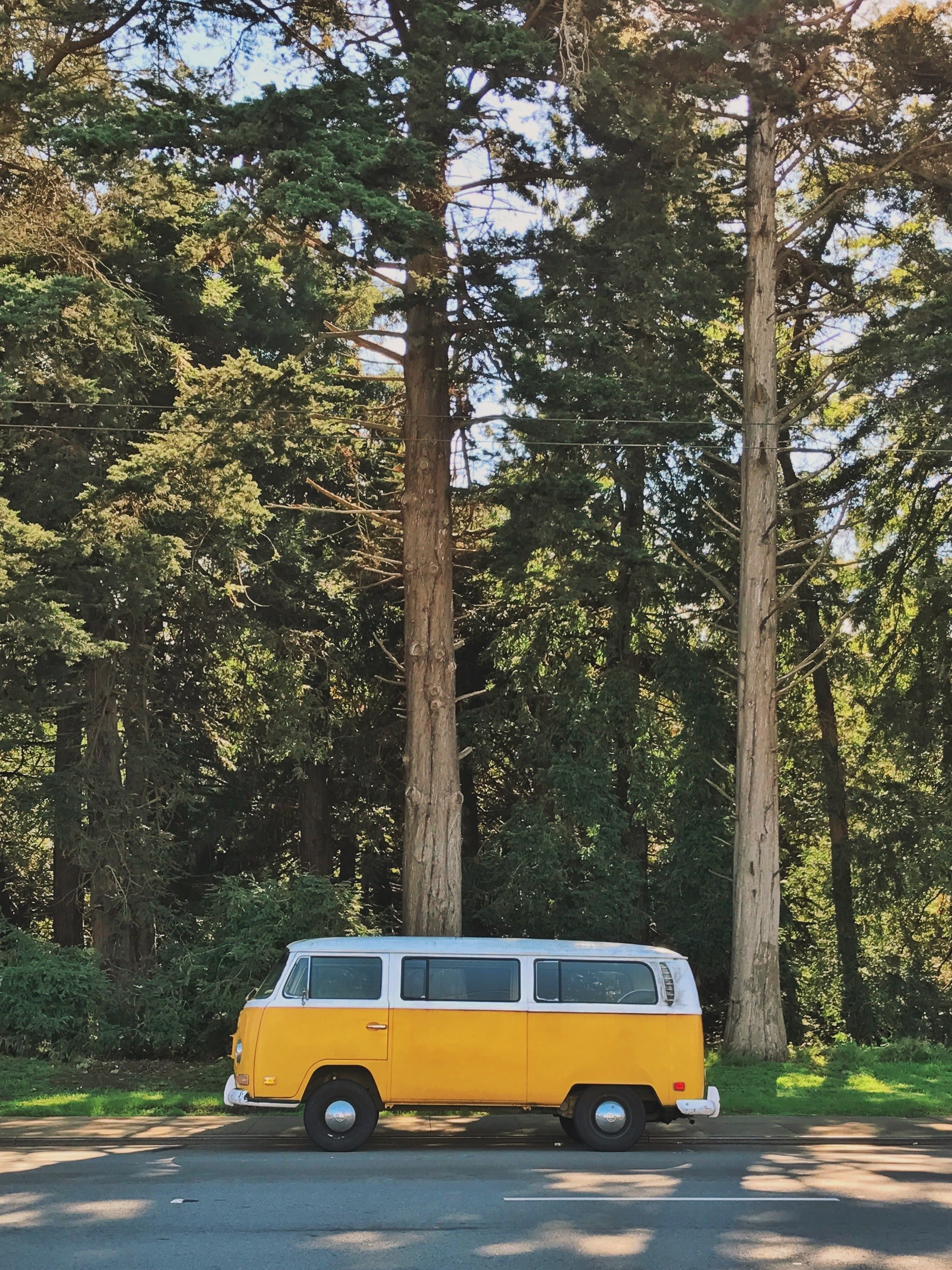 car san francisco minibus and bus hd, 4k, Phone HD Wallpaper