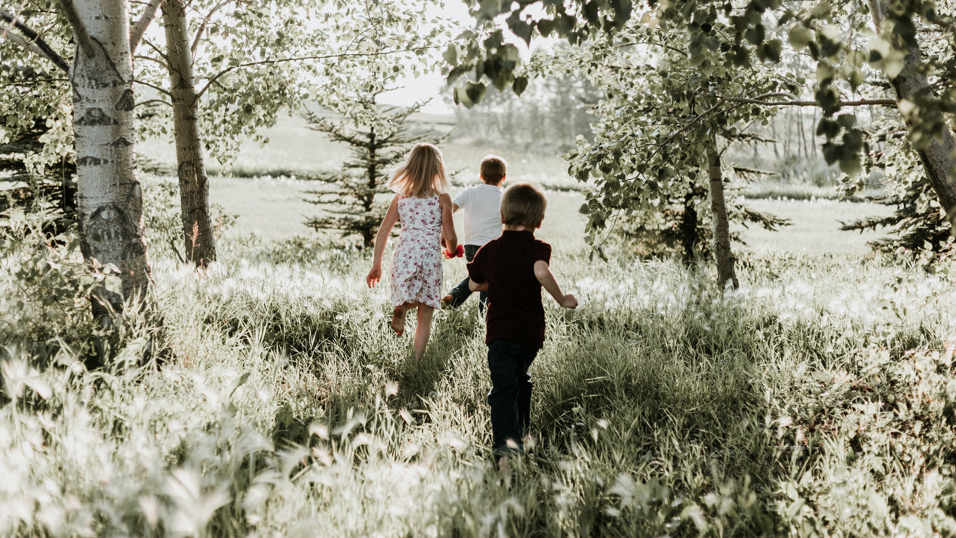 children, grass, sunlight, walk, 4k, HD Wallpaper