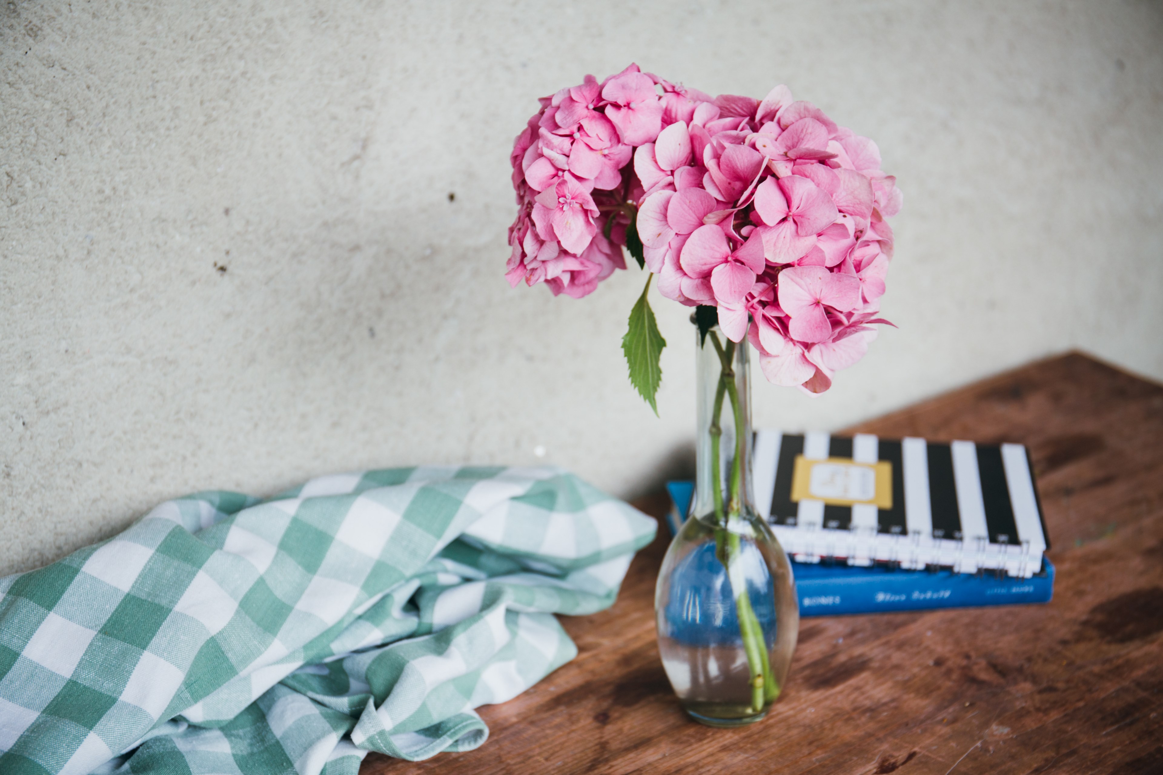 pink hydrangea flowers in a glass vase next to a dish towel and two books, pink hydrangea in a vase 4k, HD Wallpaper