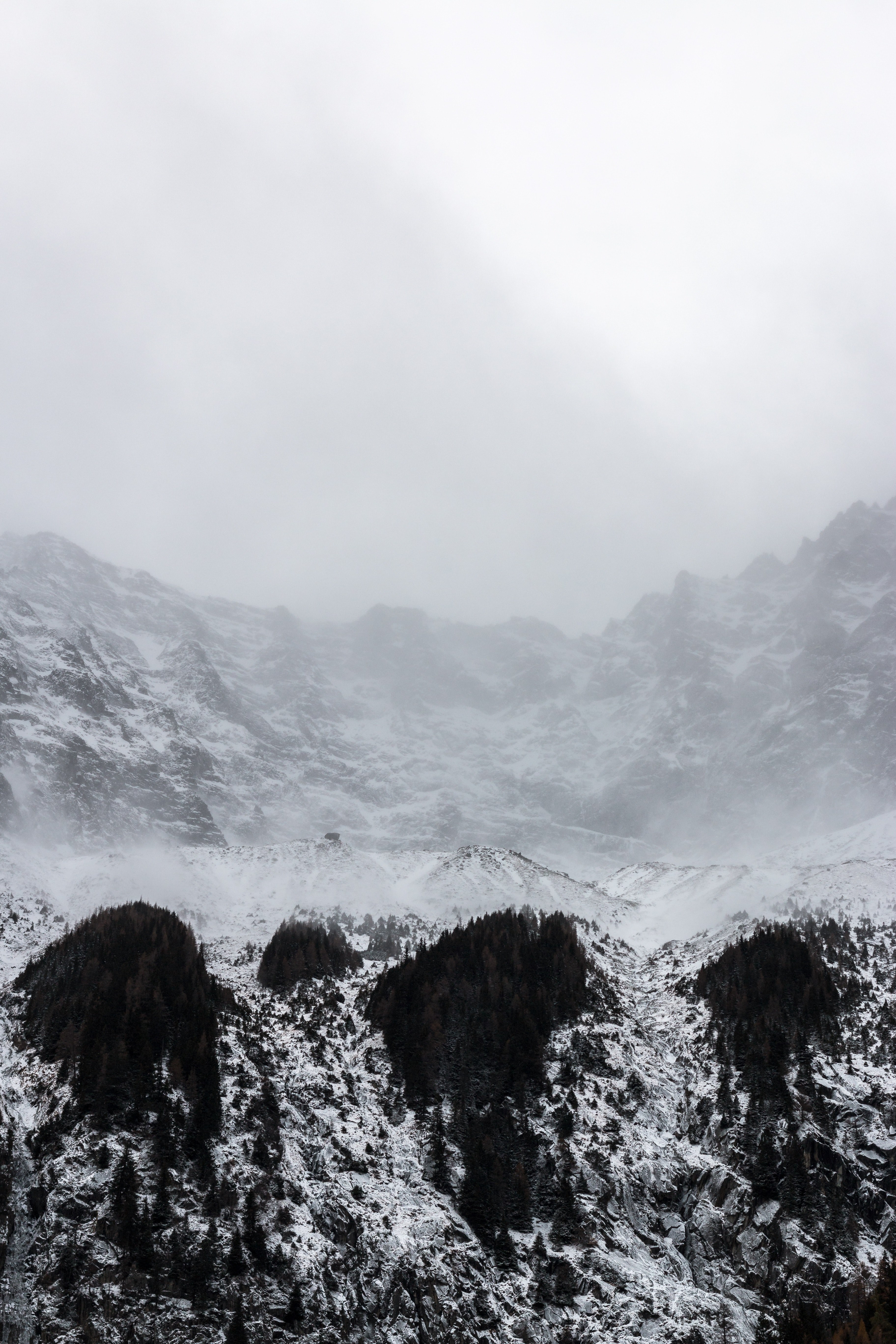 mountain snow mist and fog hd, 4k, Phone HD Wallpaper