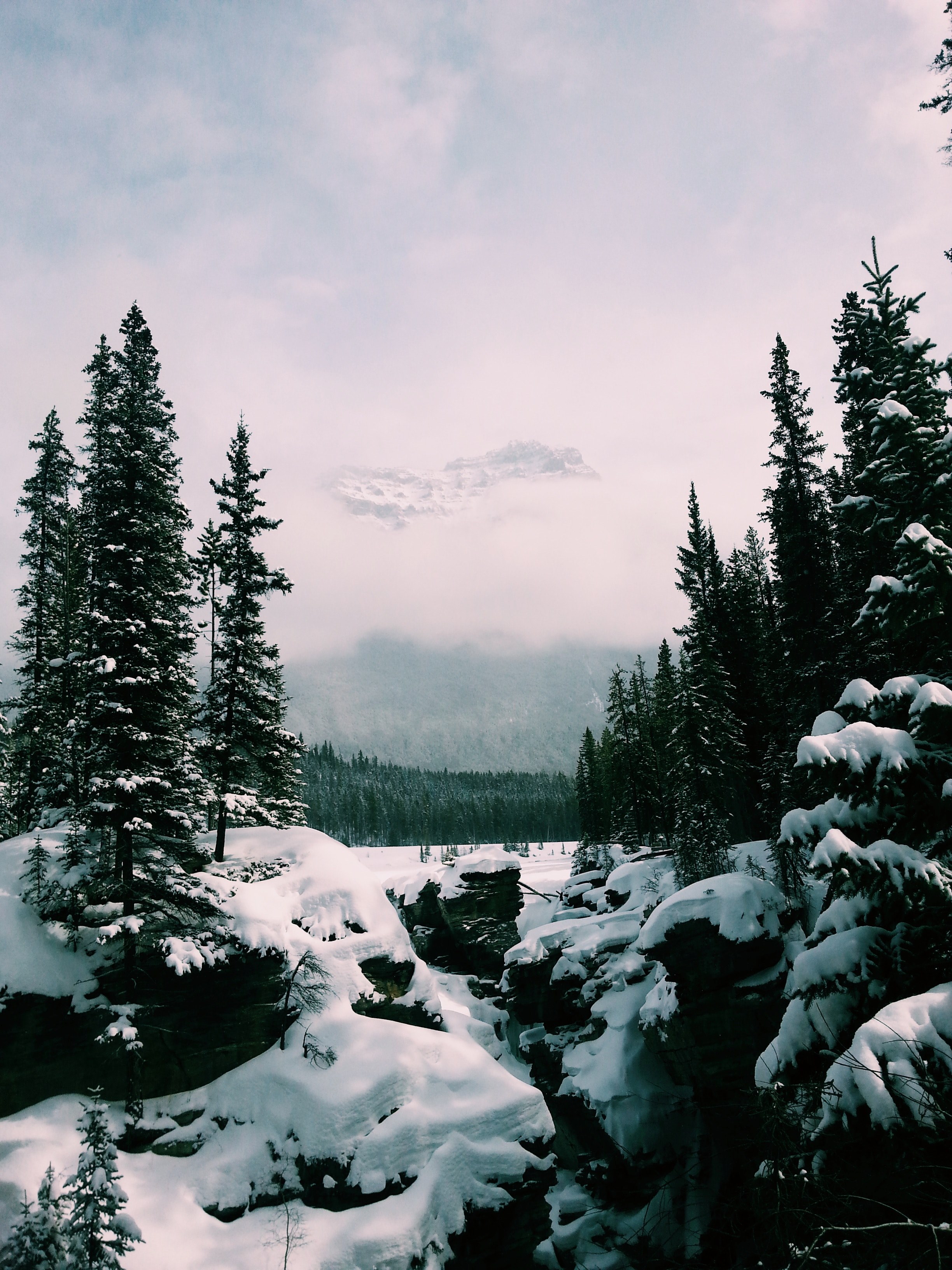 canada albertum and athabasca fall hd, 4k, Phone HD Wallpaper