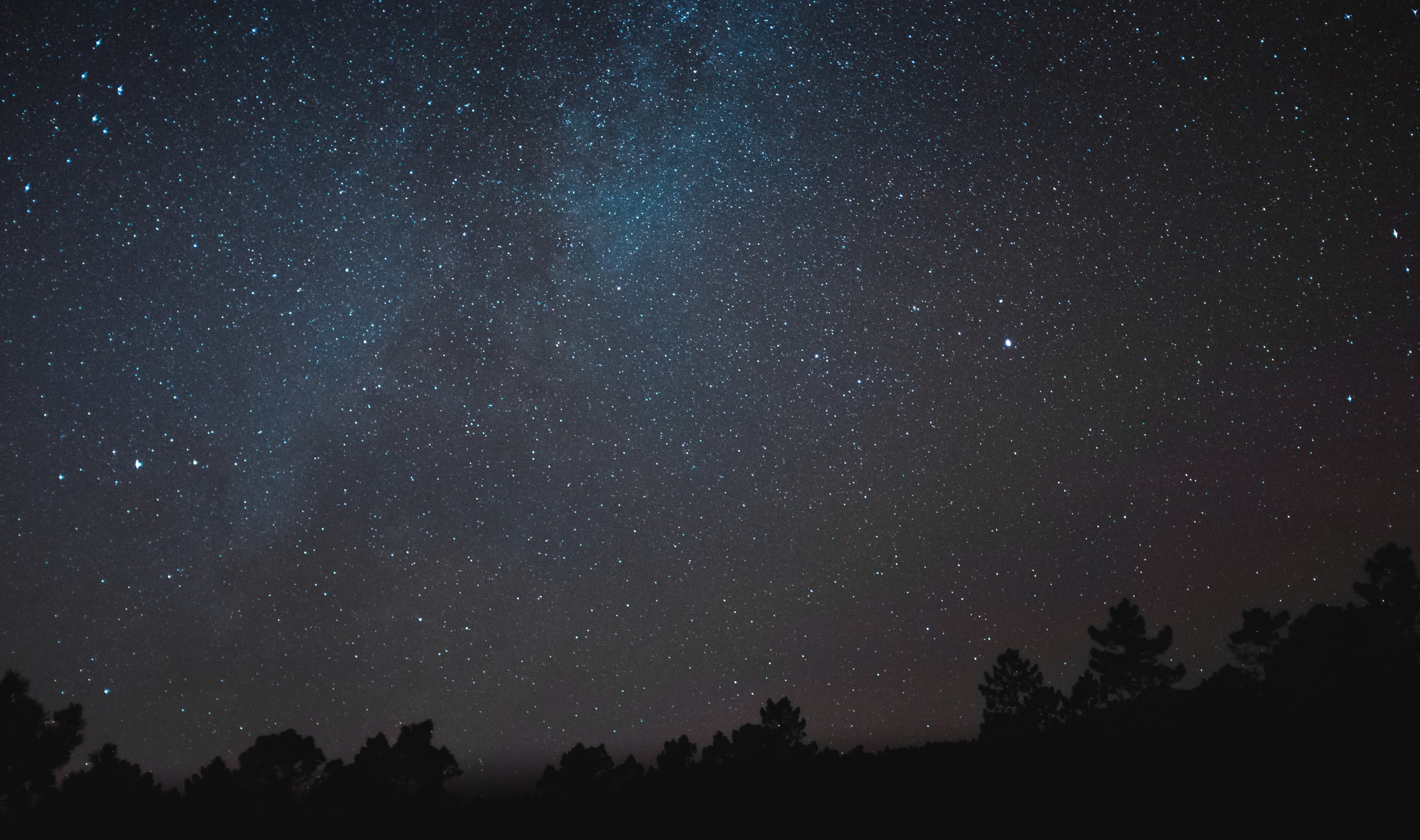 silhouette tree milky way and milkyway 4k, HD Wallpaper