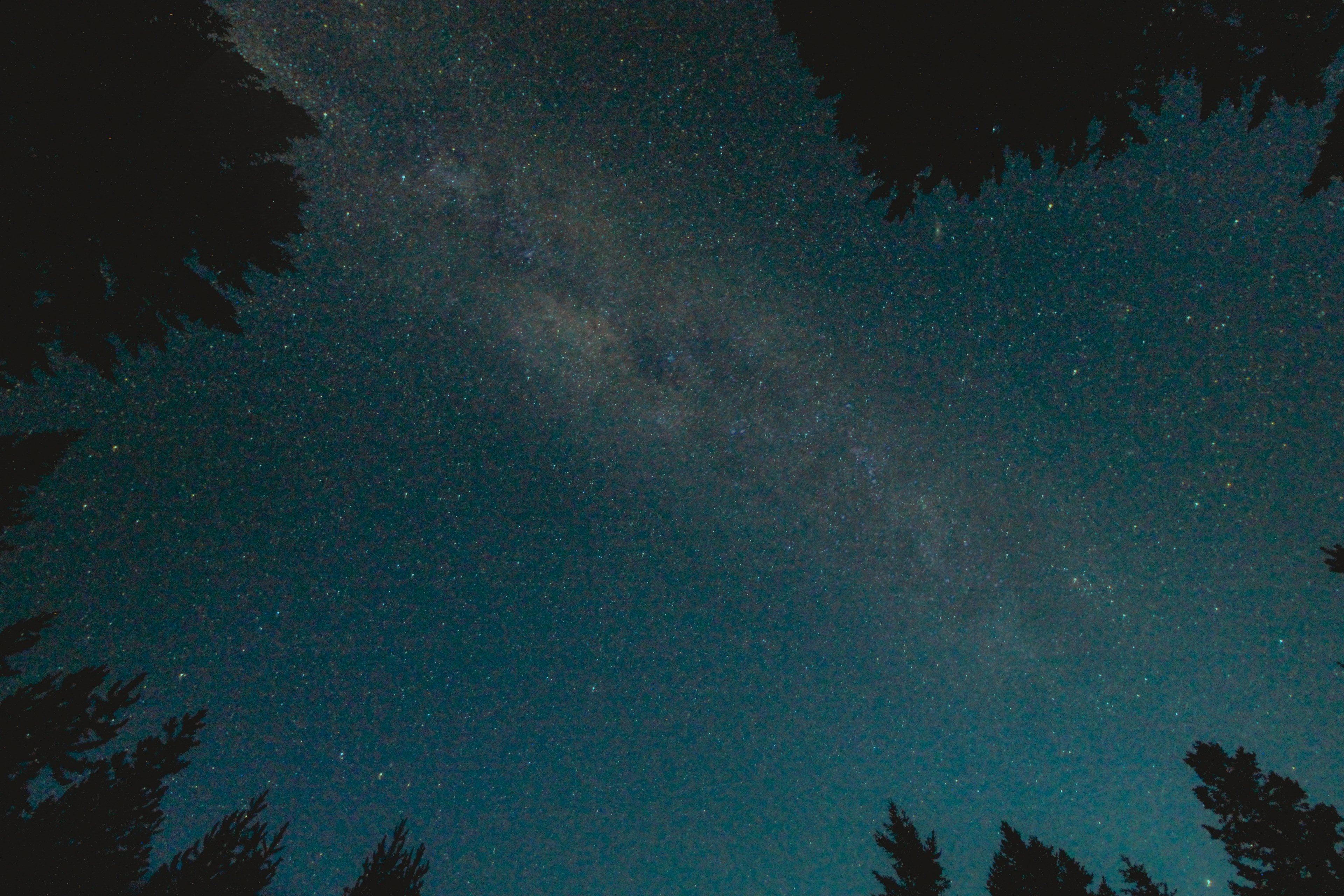 lost in the wilderness 4k, HD Wallpaper
