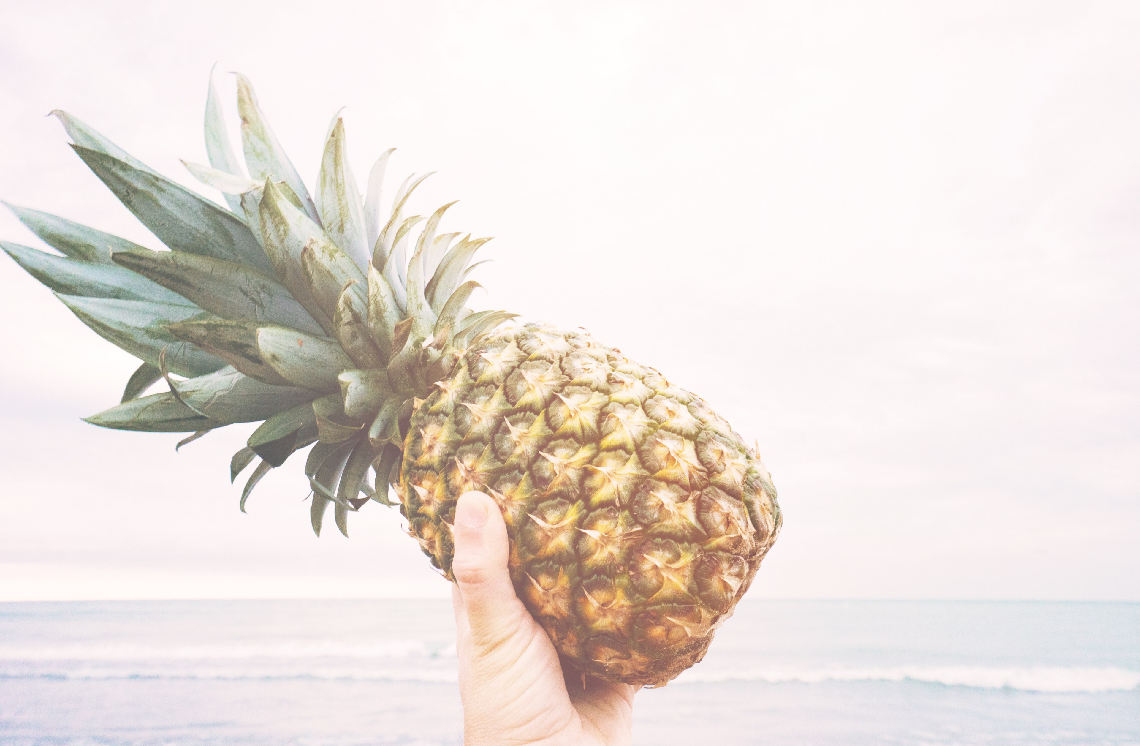 holding a pineapple at the beach, _pineapple and the ocean 4k, HD Wallpaper