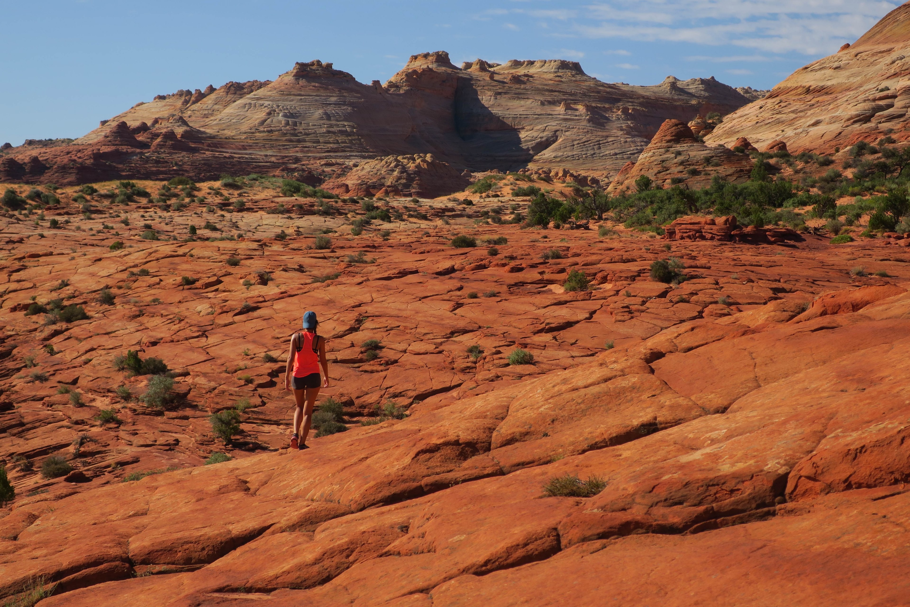 hiker walks alone through rocky terrain of the wave trail desert, solo desert hikes 4k, HD Wallpaper
