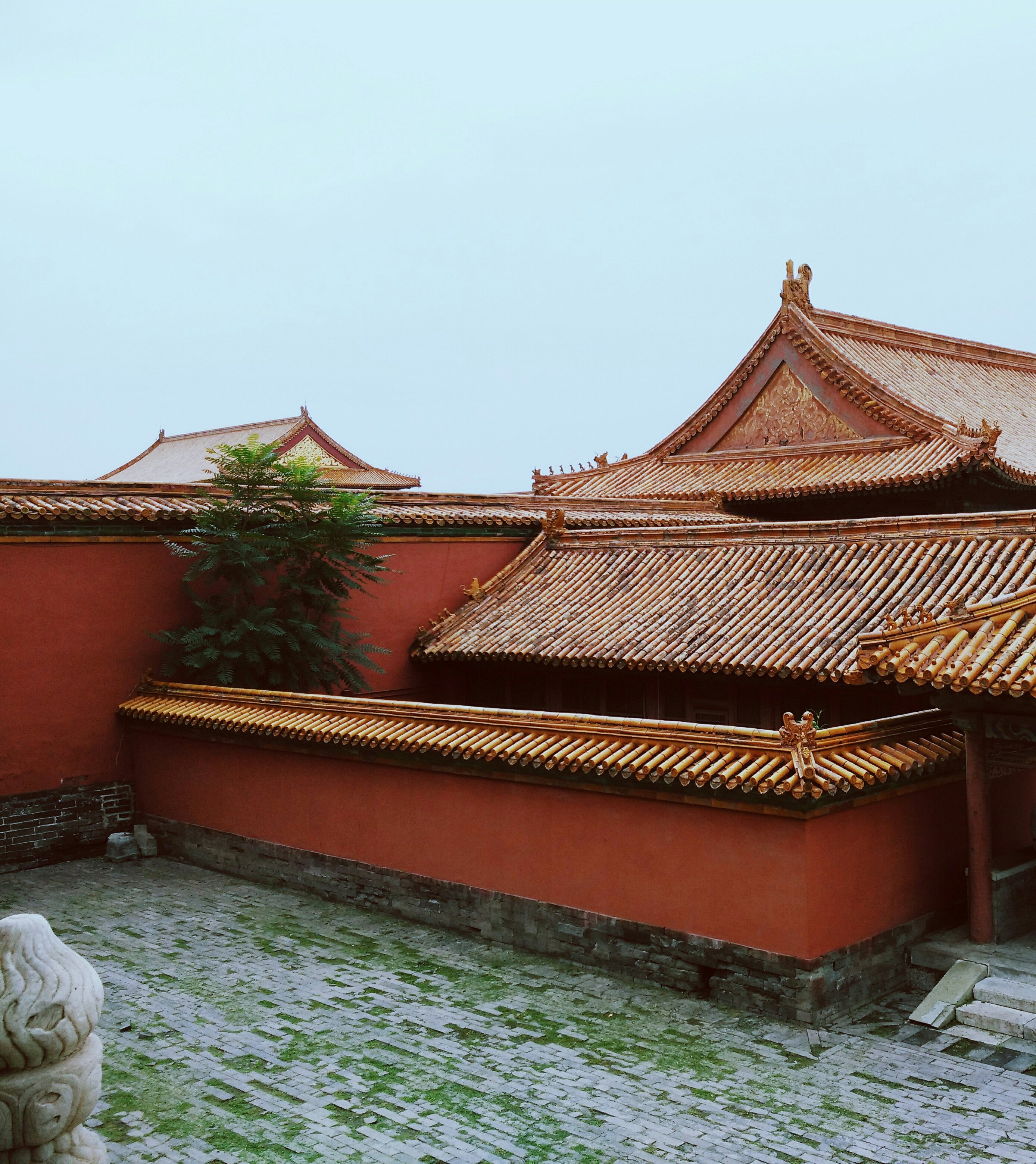 asian temple with a grassy overgrown brick courtyard and a high red wall surrounding it, asian temple with brick yard 4k, Phone HD Wallpaper