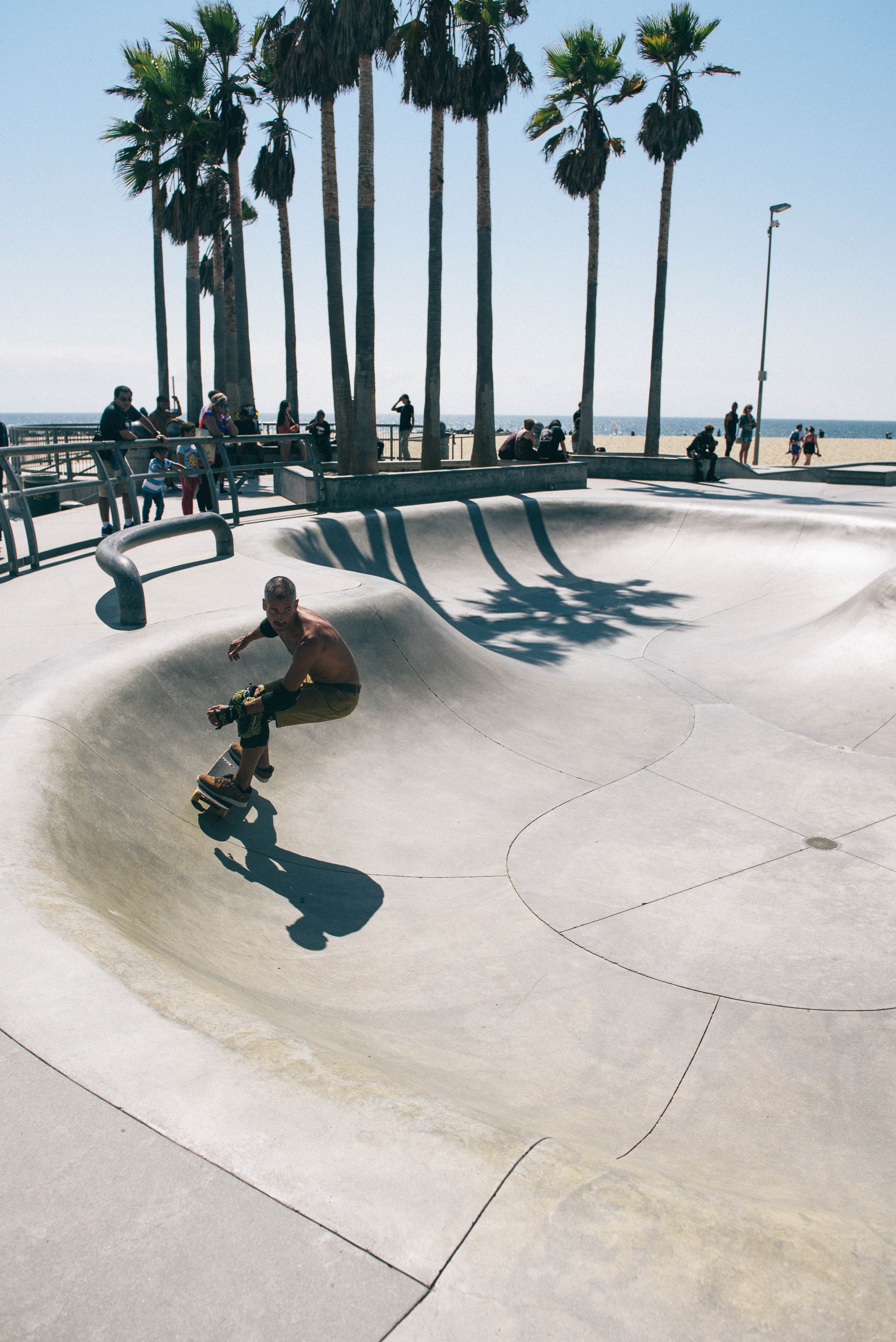 skateboard skatepark tree and palm tree hd, 4k, Phone HD Wallpaper