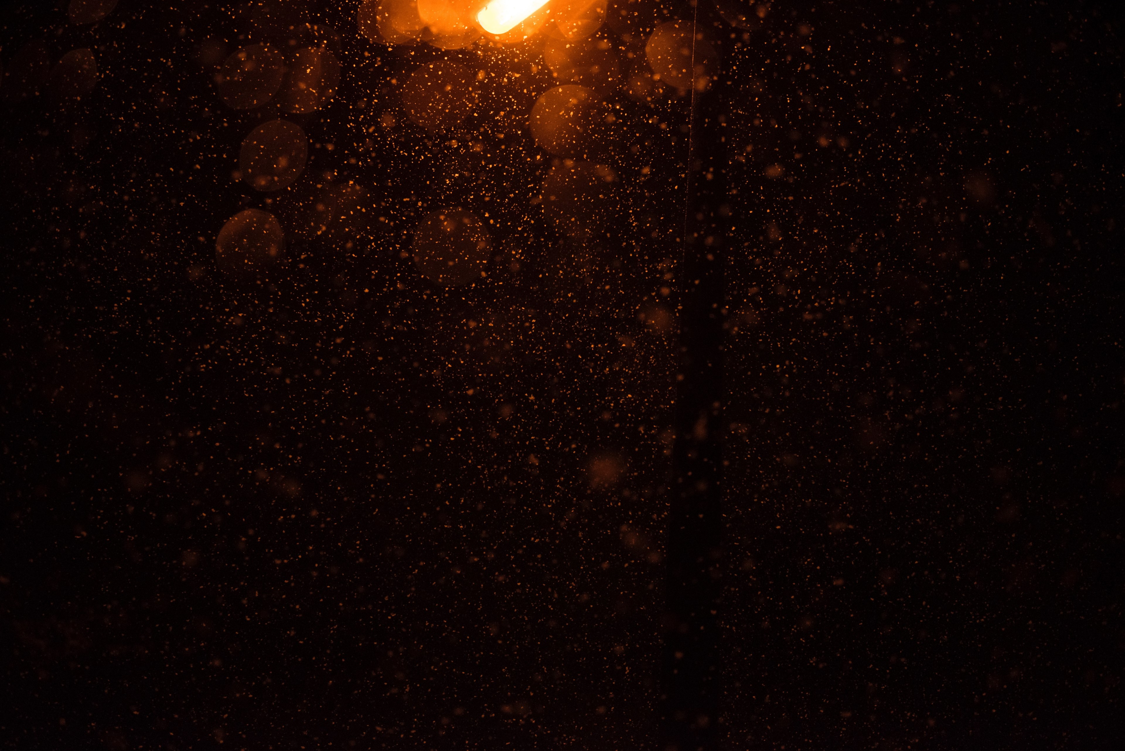 let it snow 4k, HD Wallpaper