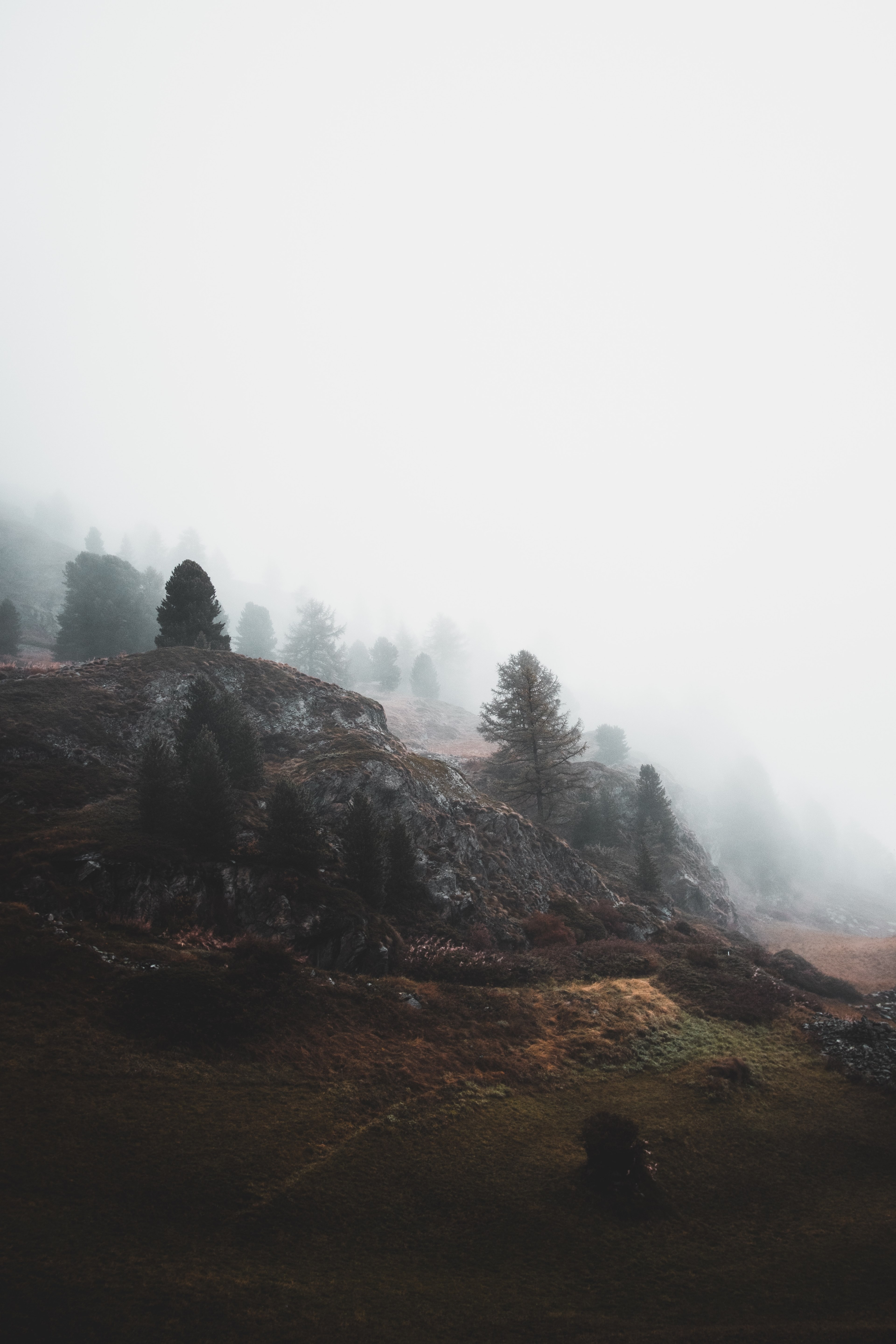 mountains trees rocks and grass hd, 4k, Phone HD Wallpaper