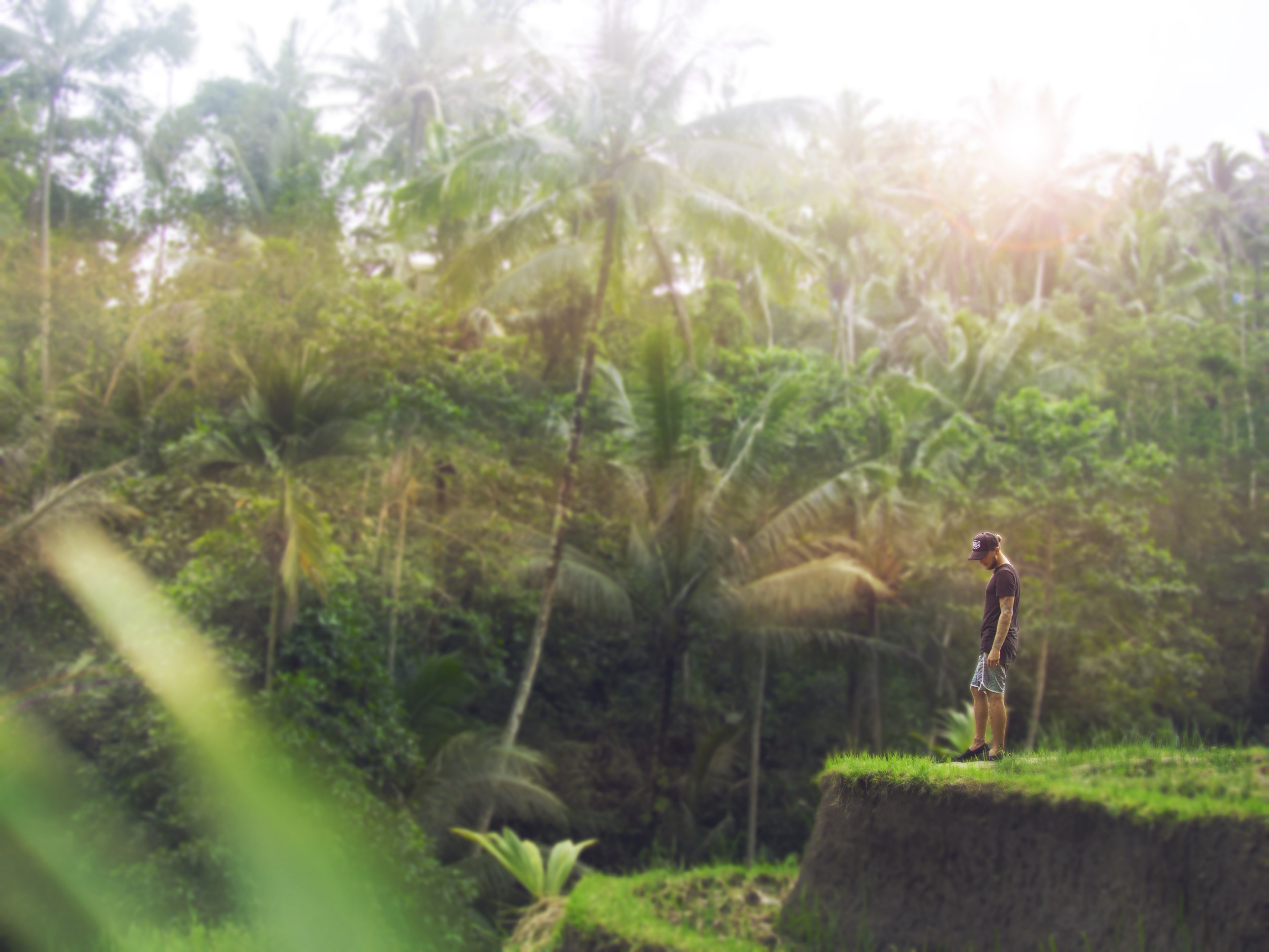 a man standing near the edge of an earth mound near a tropical jungle, at the edge of a rainforest 4k, HD Wallpaper