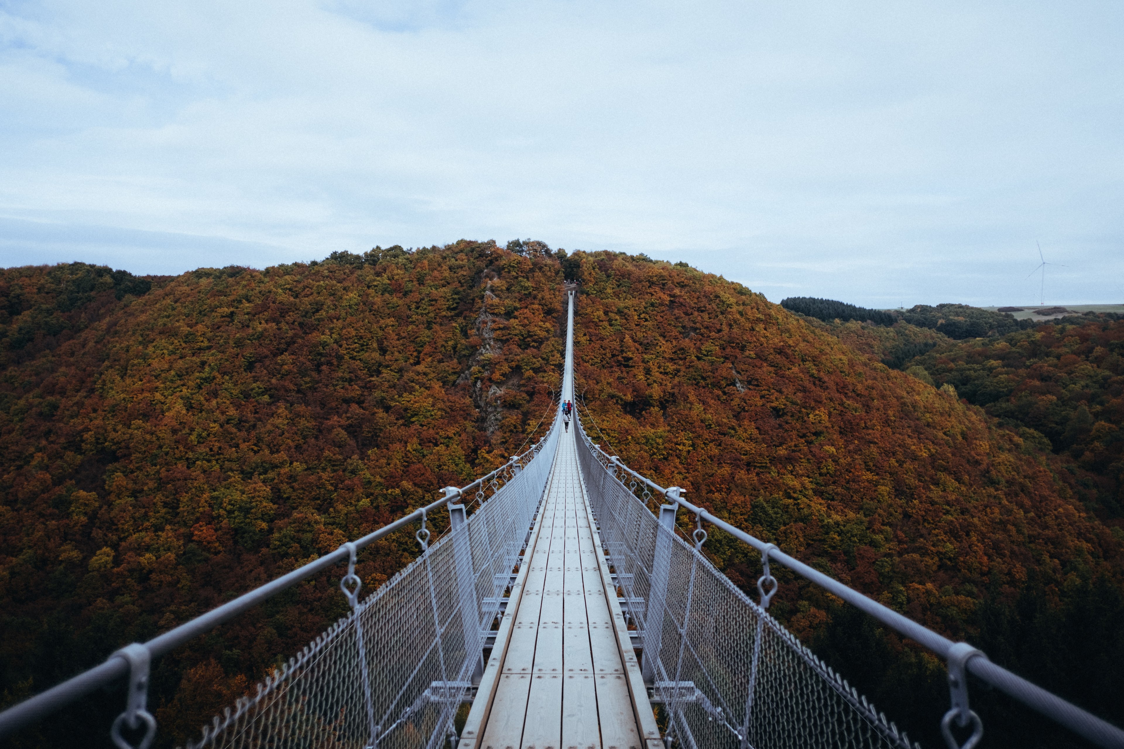 a long view of a suspension bridge in geierlay, geierlay suspension bridge 4k, HD Wallpaper