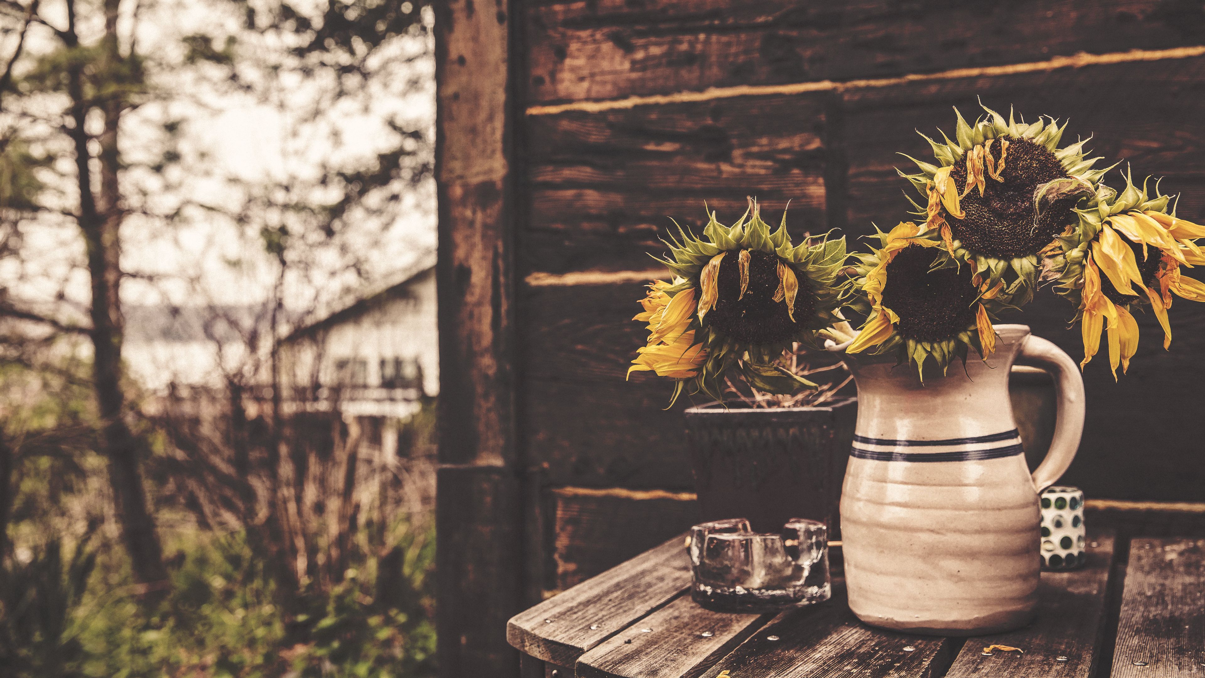 sunflowers, vase, flowers, 4k, HD Wallpaper