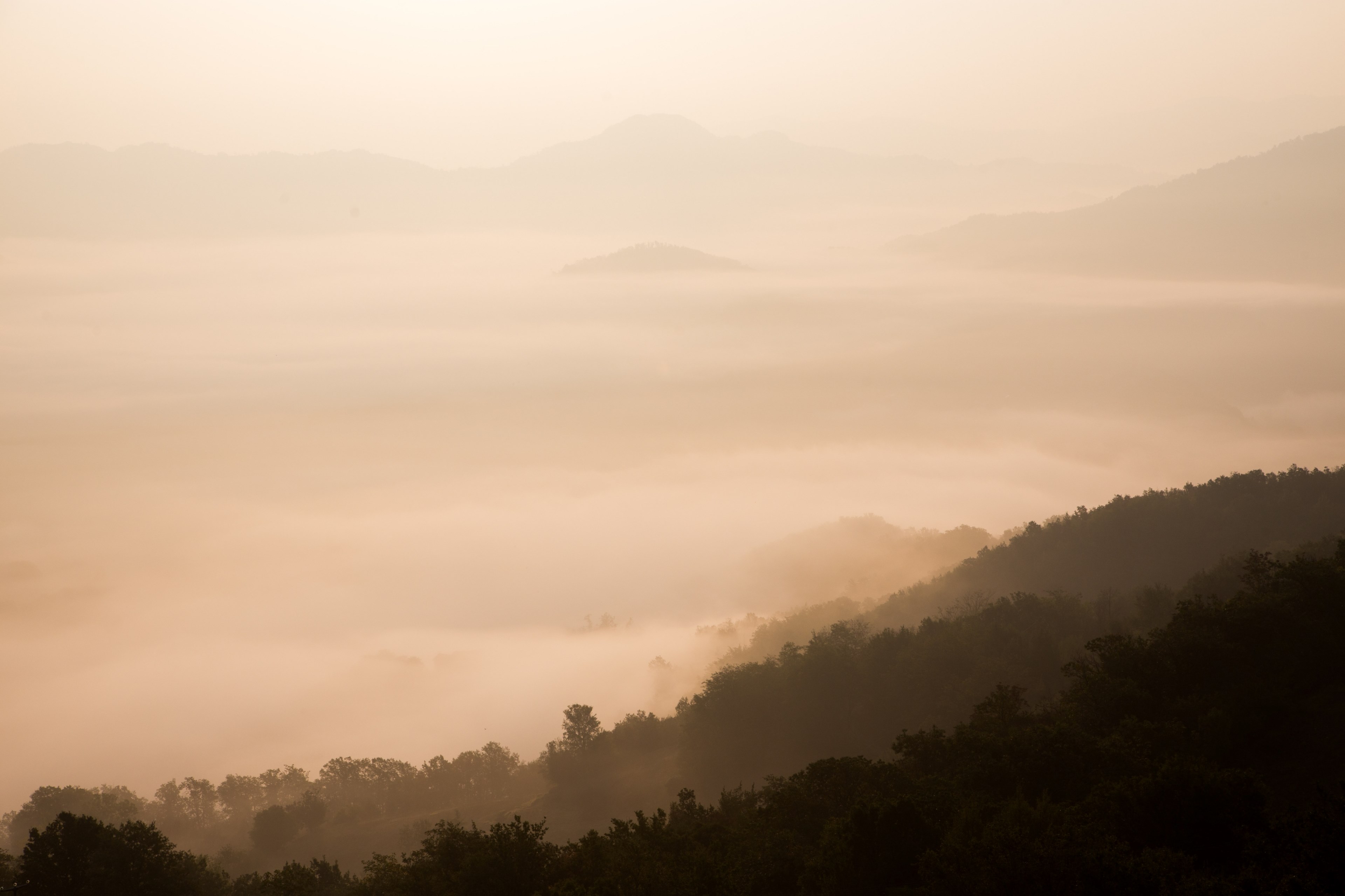 a deep mountain valley covered with a thick layer of fog, pale foggy mountain valley 4k, HD Wallpaper